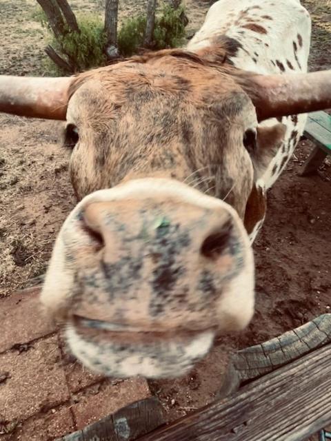Farm Charm