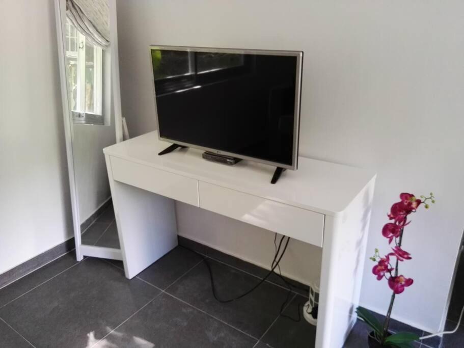 Photo 6