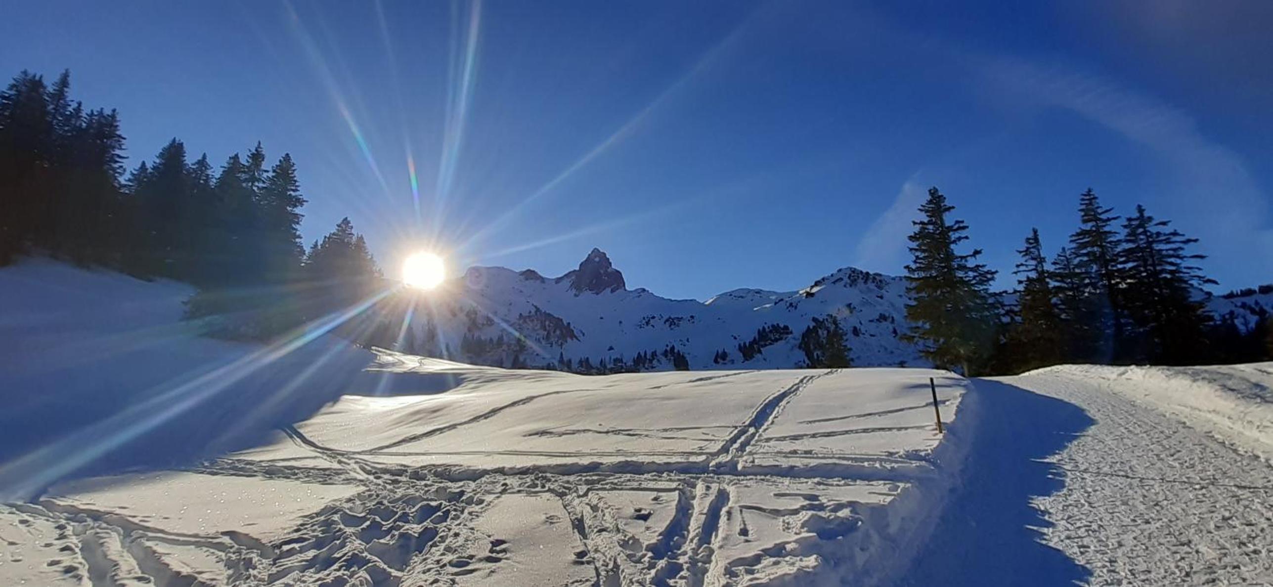 Chalet im Gus - Flumserberge & Walensee
