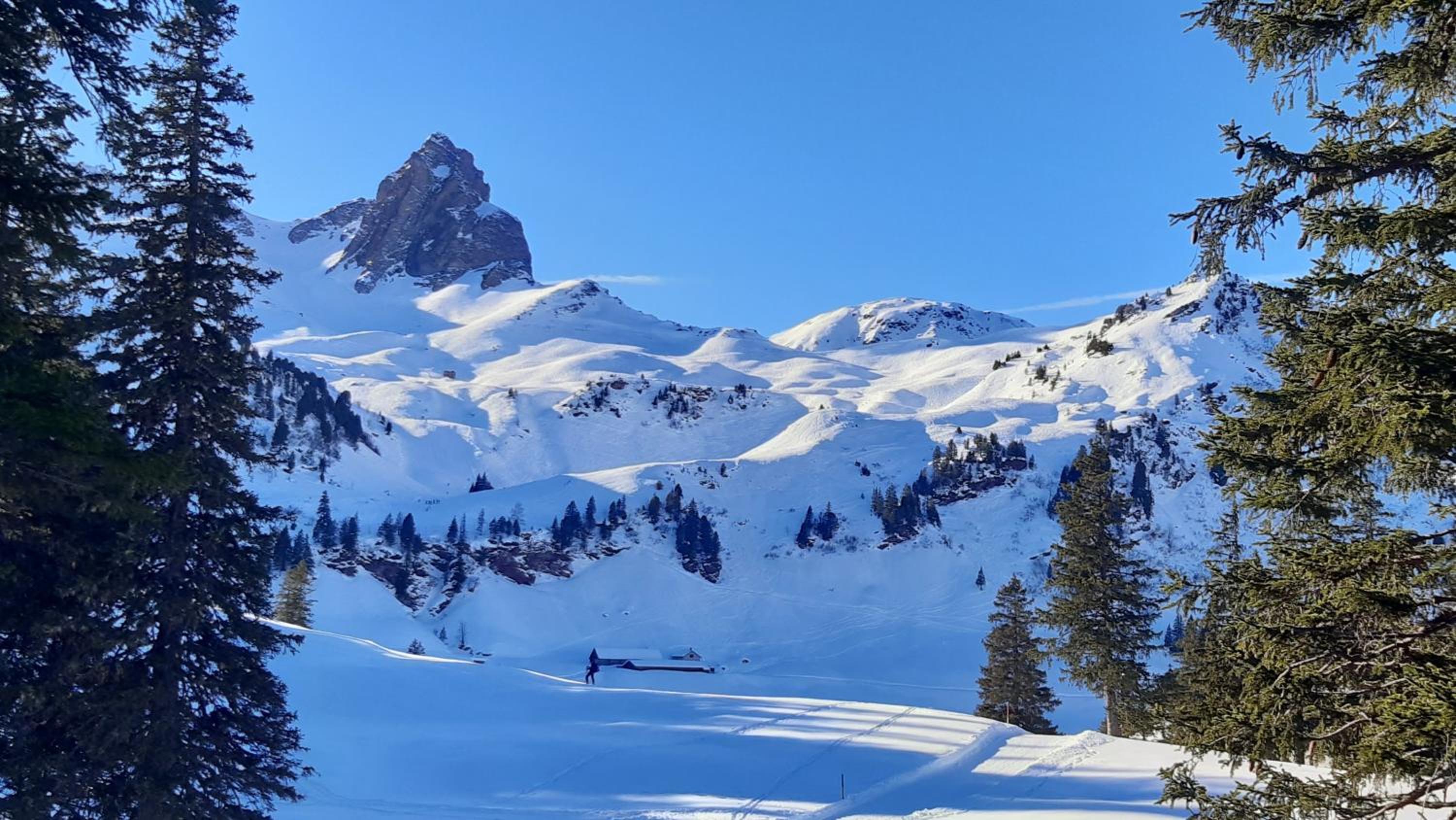 Chalet im Gus - Flumserberge & Walensee