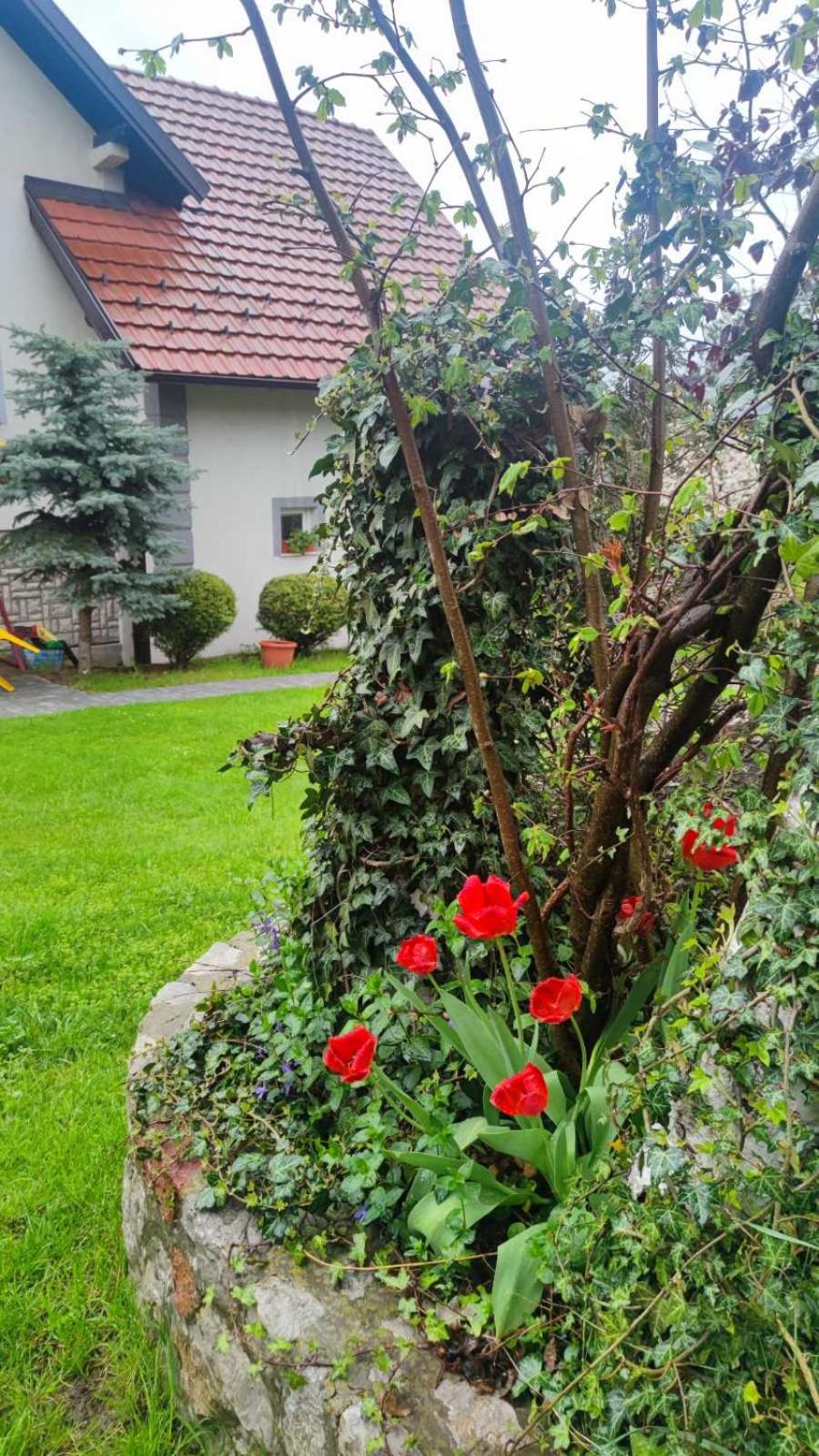 Photo 14