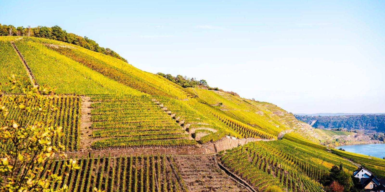 Gemütliches & Modernes Apartment