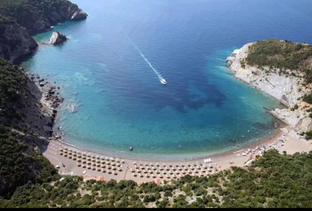 Villa Milicevic