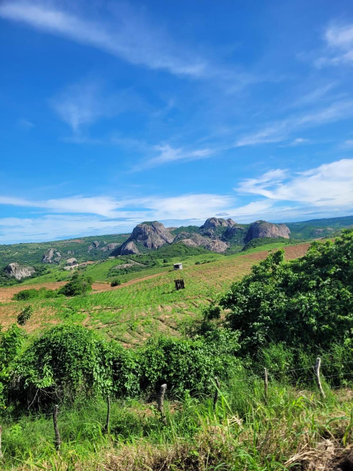 Chalé Mandacaru