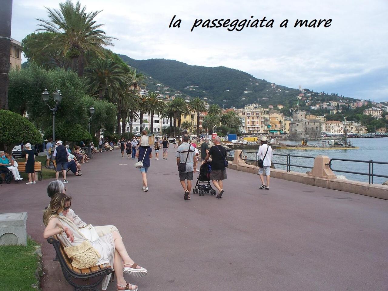 stella di mare view 4