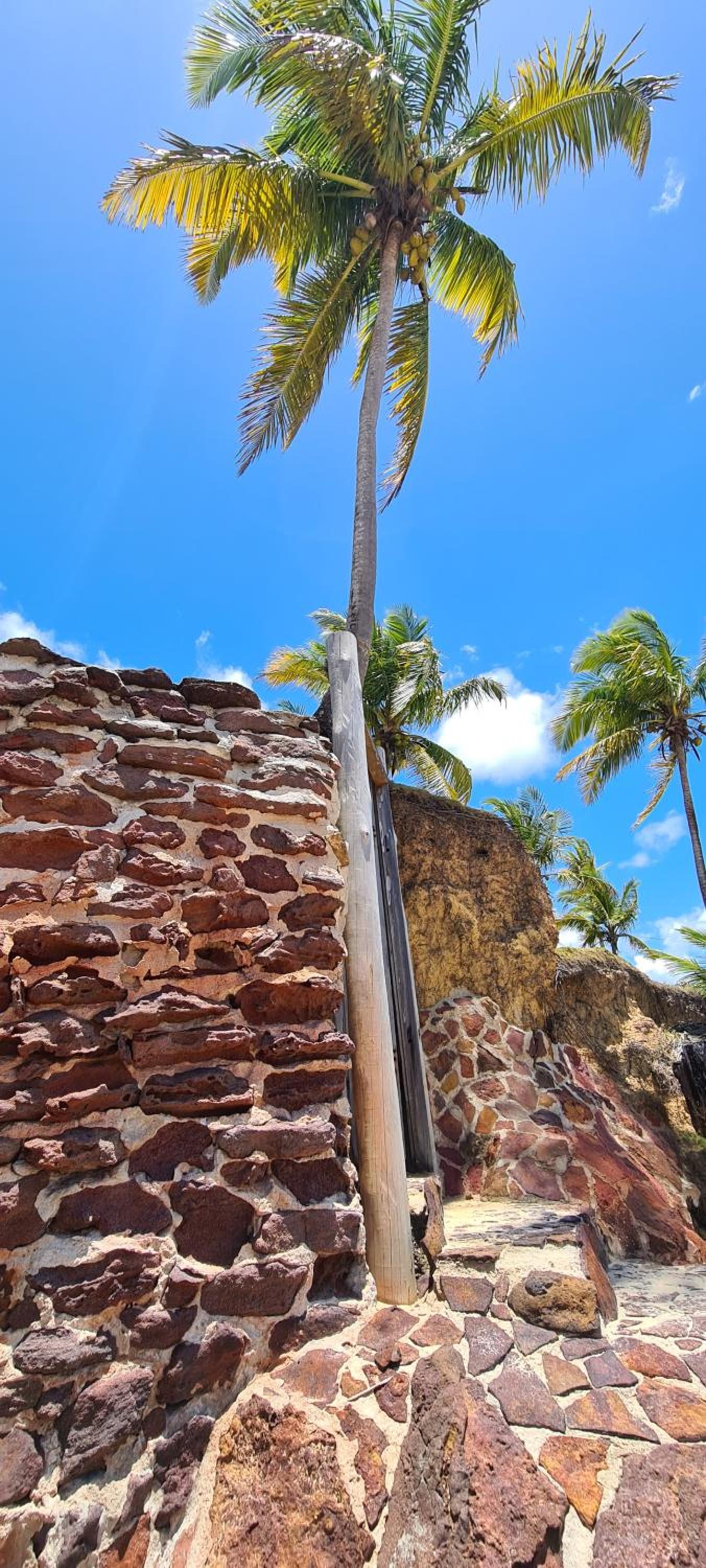 Casa Coqueiral