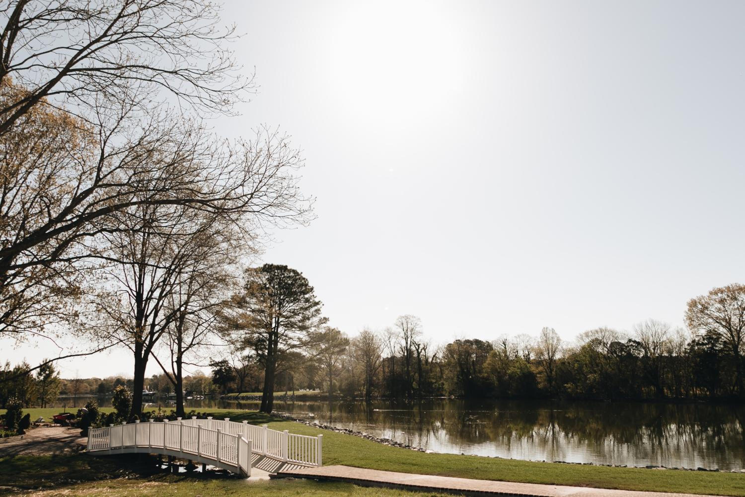 The Oaks Waterfront - Property Image 11