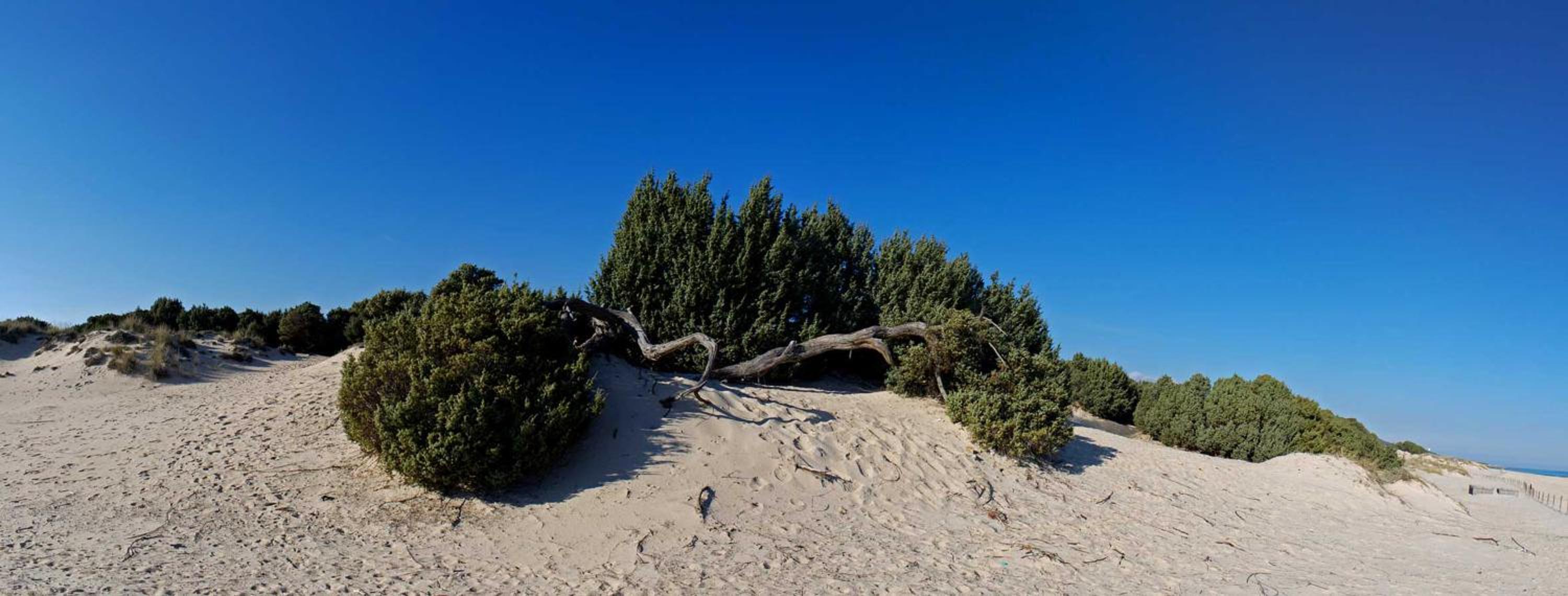 La Villetta Adults Only con giardino a Pula