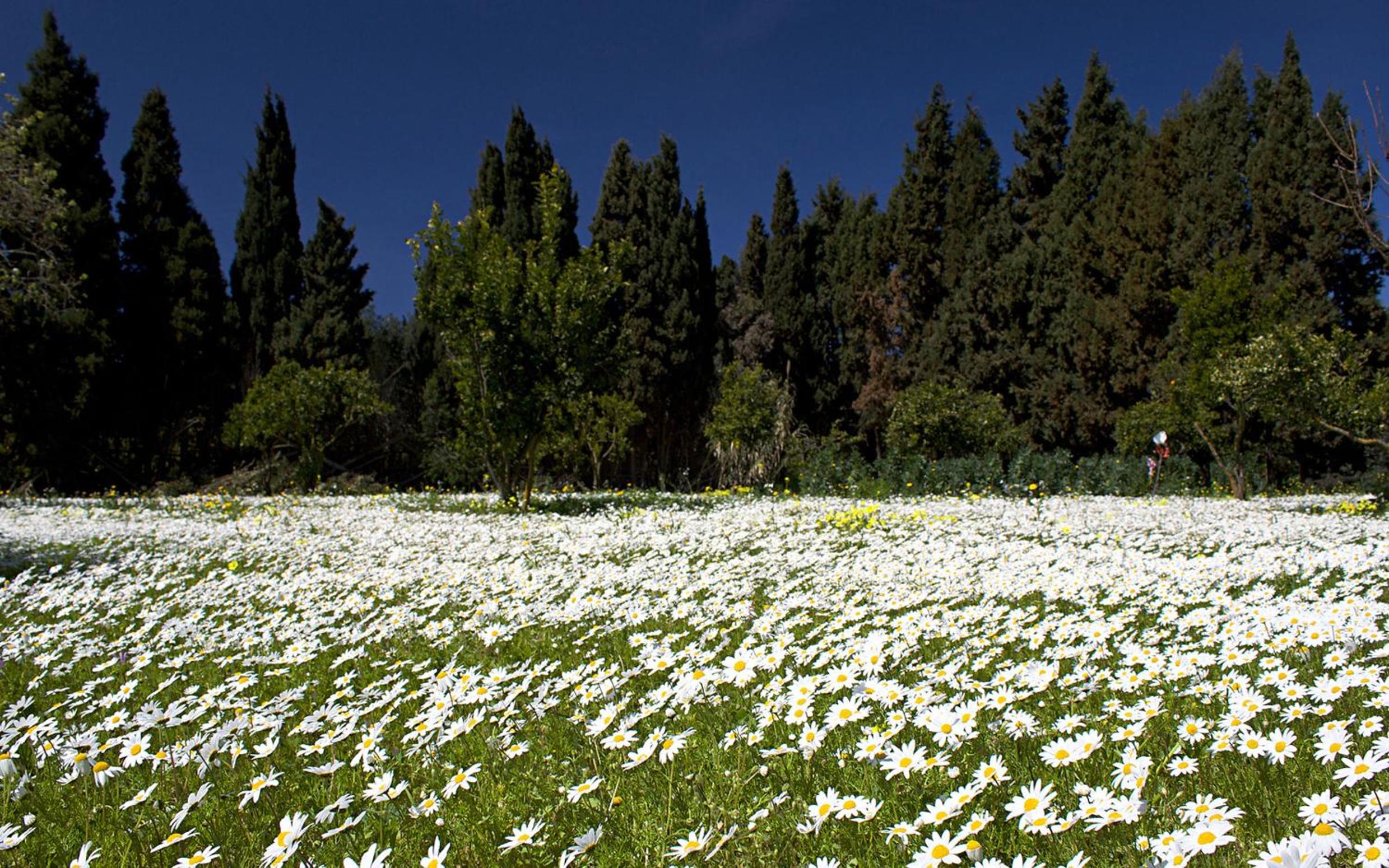 La Villetta Adults Only con giardino a Pula