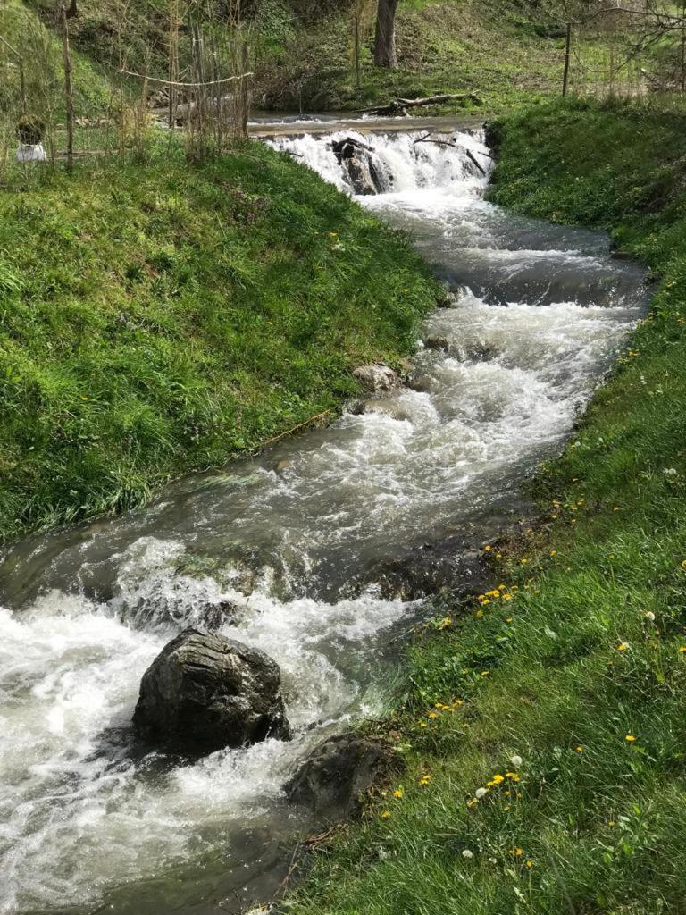 Photo 34