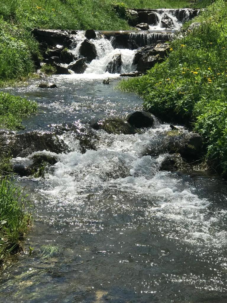 Photo 35