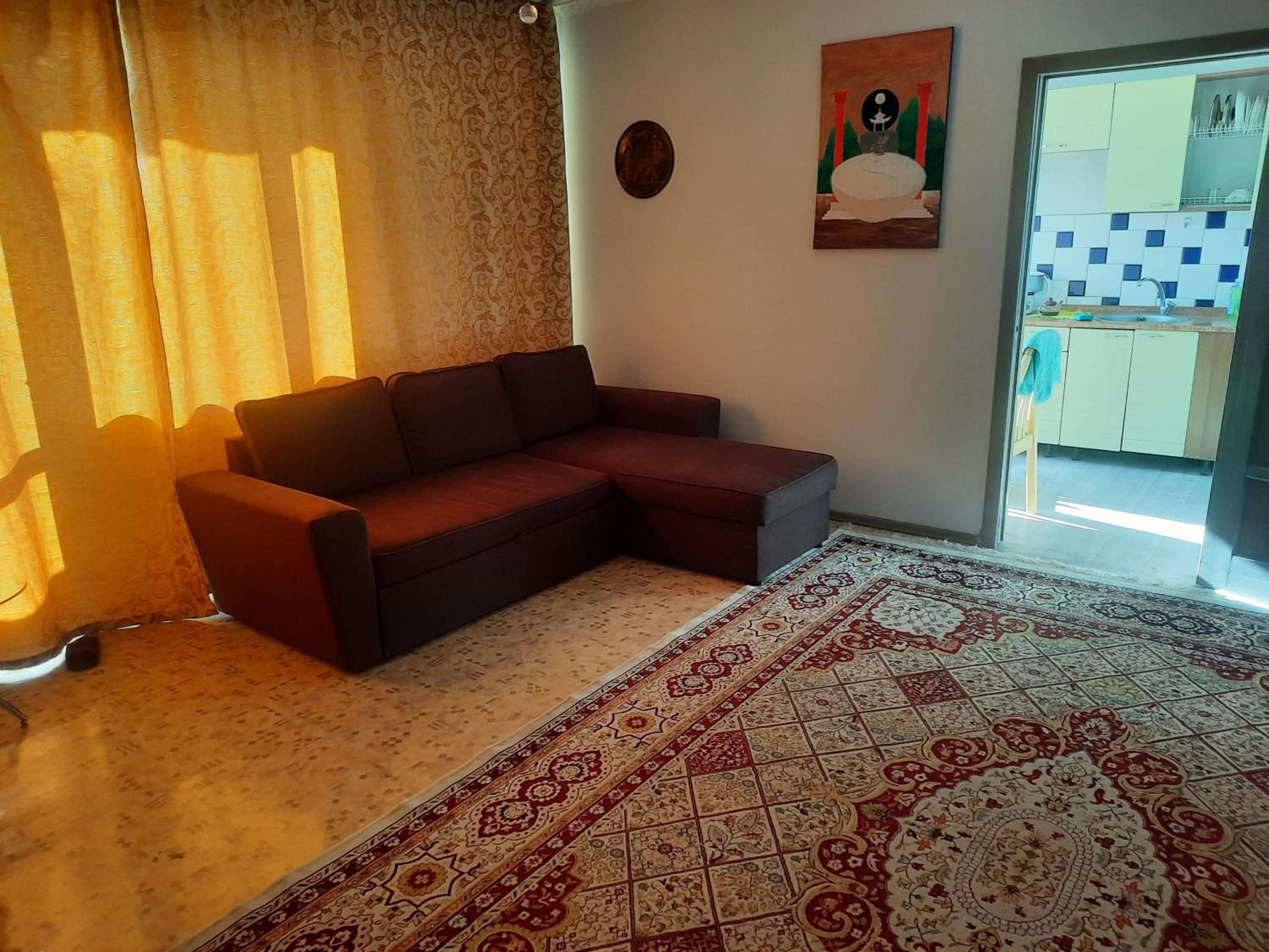Apartment Shevchenko Panfilova