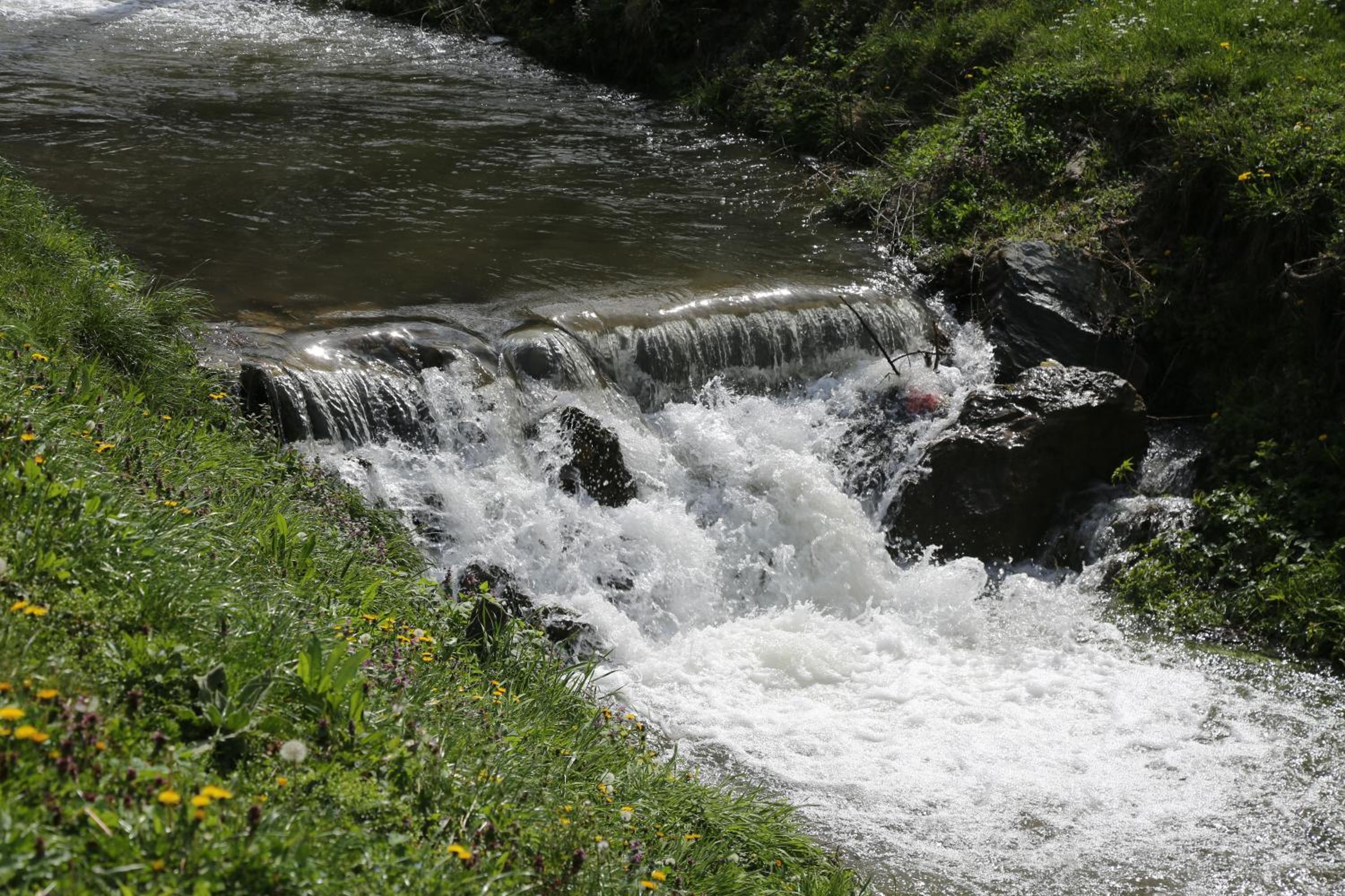 Photo 38