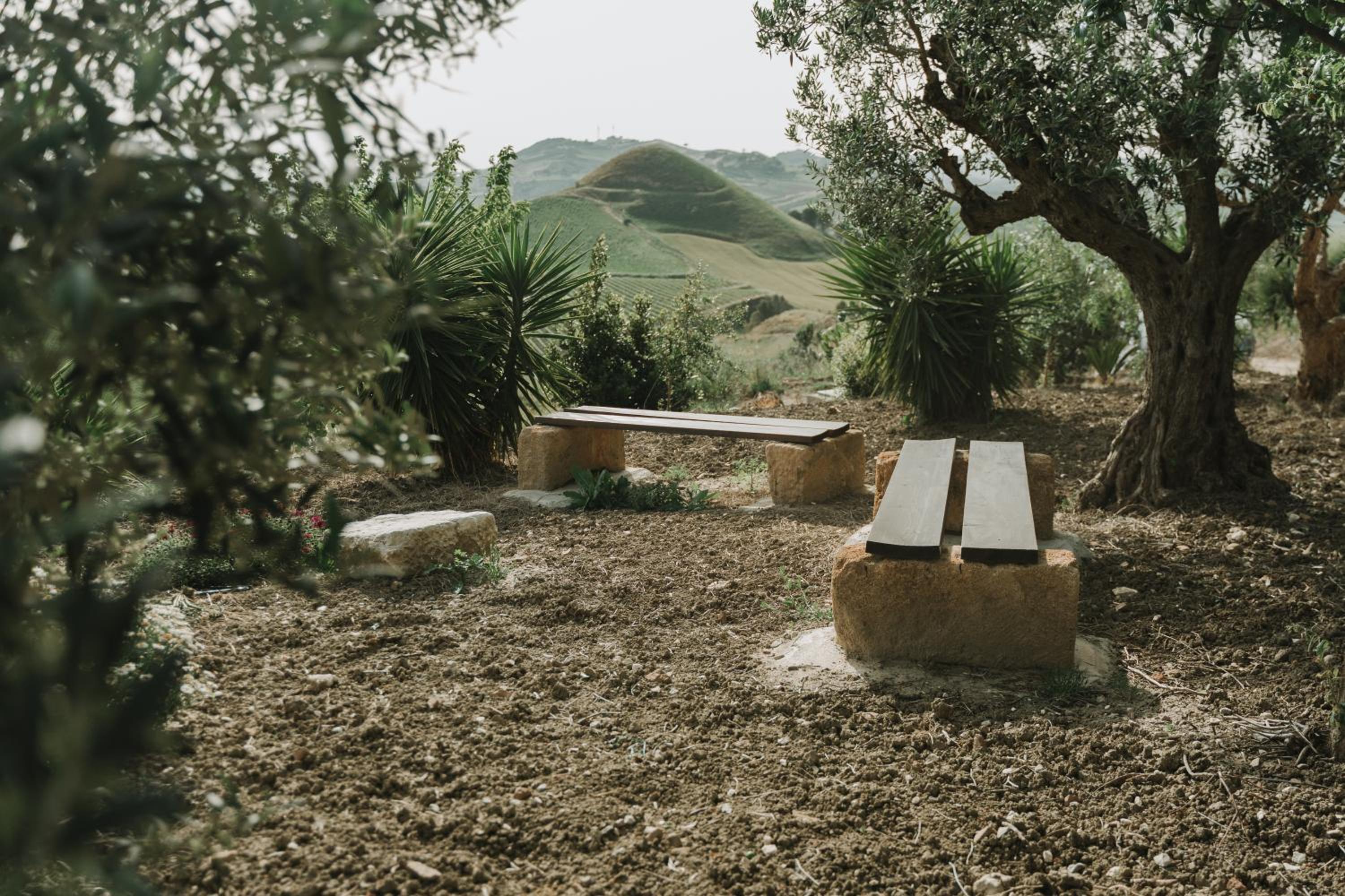 Photo 35
