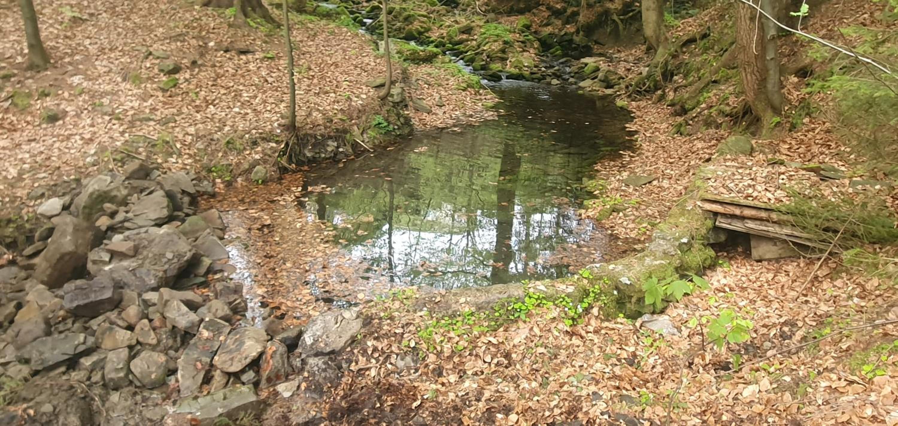 Photo 48