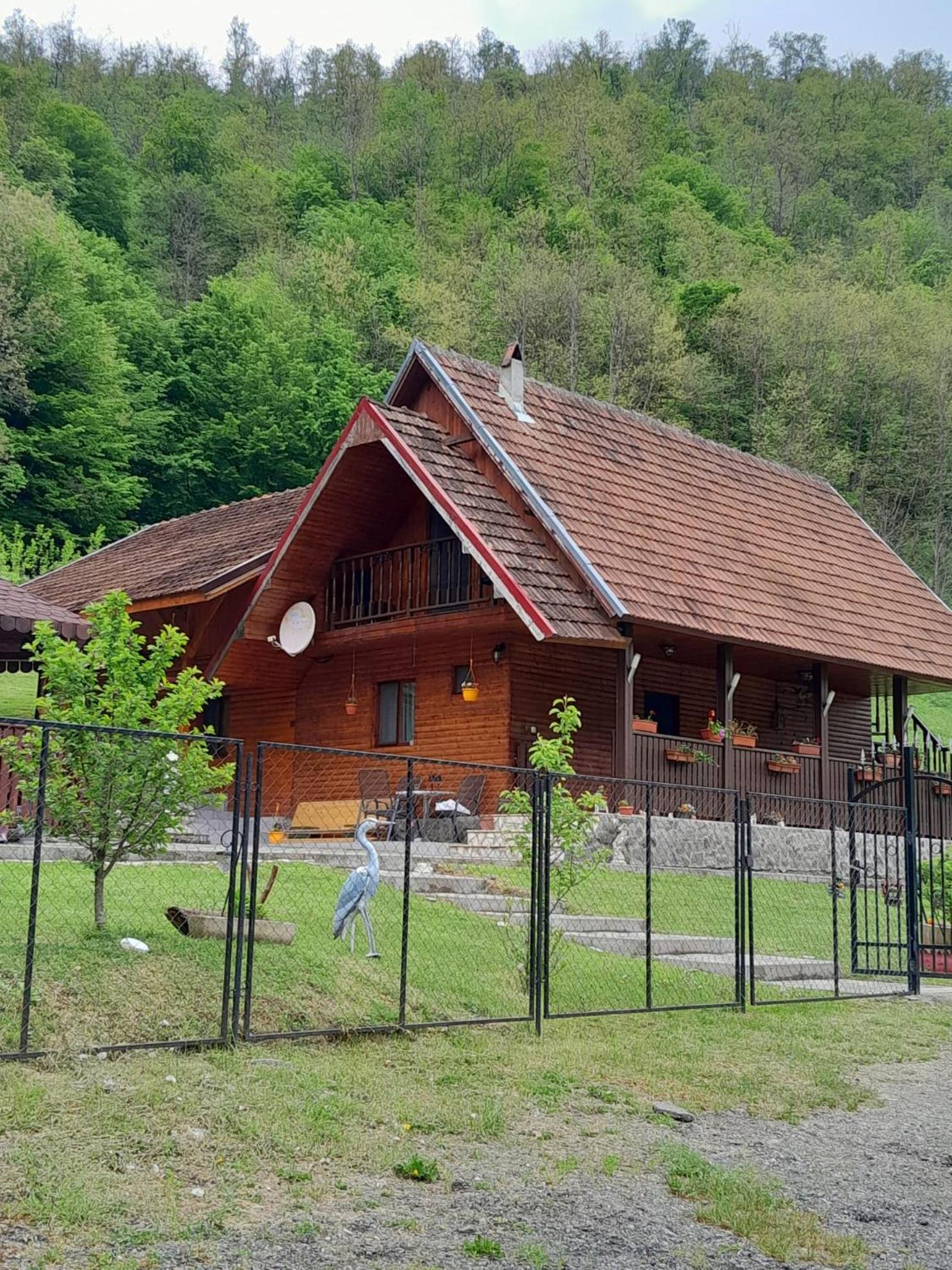 Photo 9