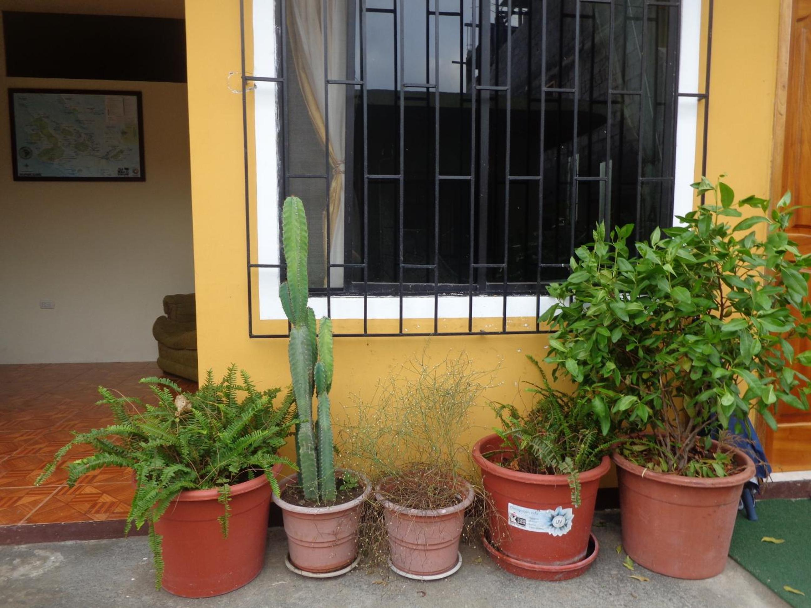 Photo 32