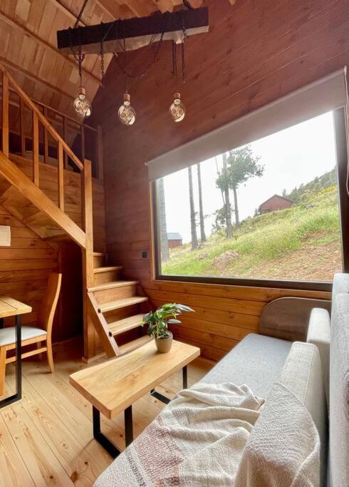 Mountain Eco Shelter 9 view 2