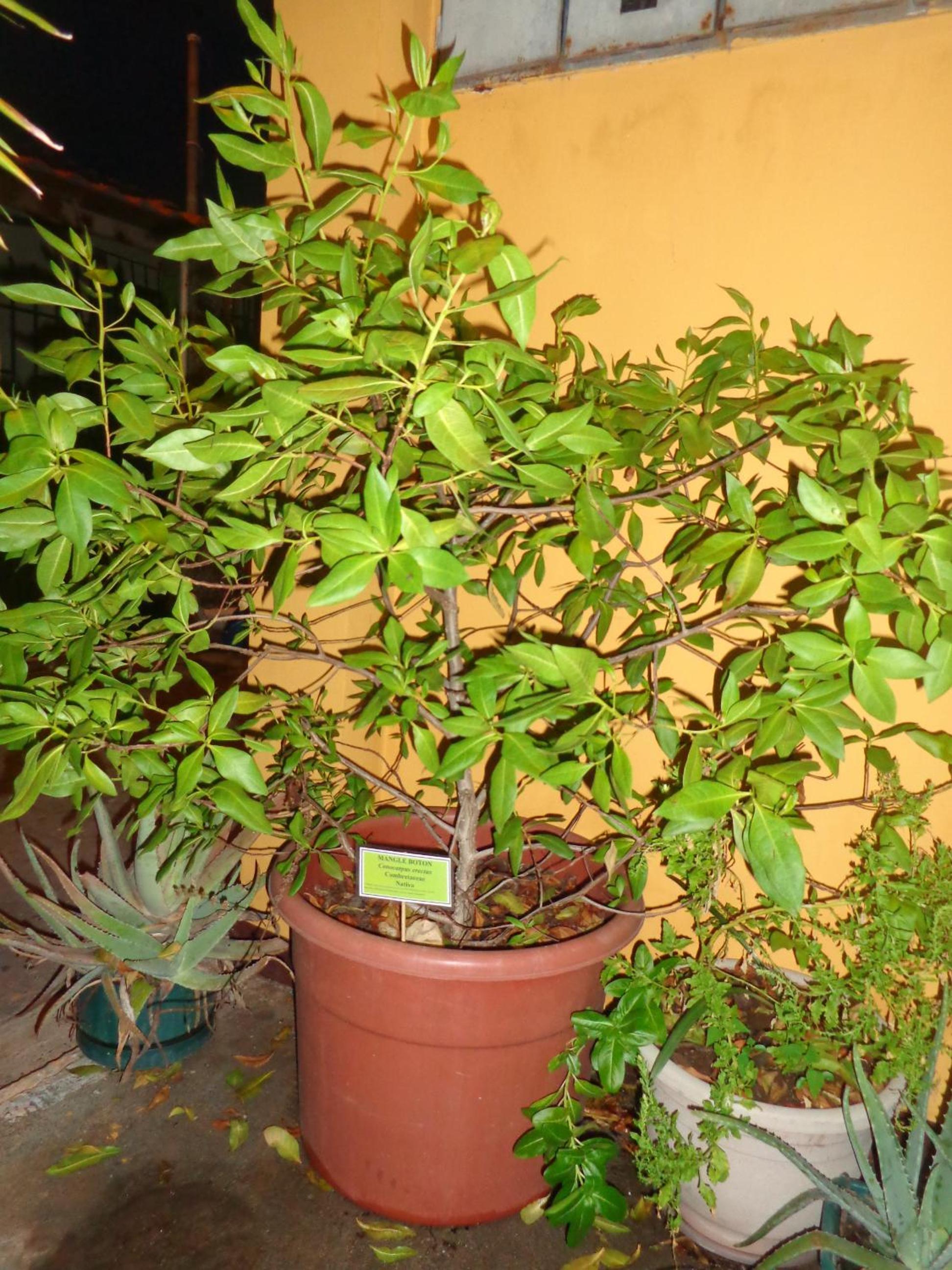 Photo 33