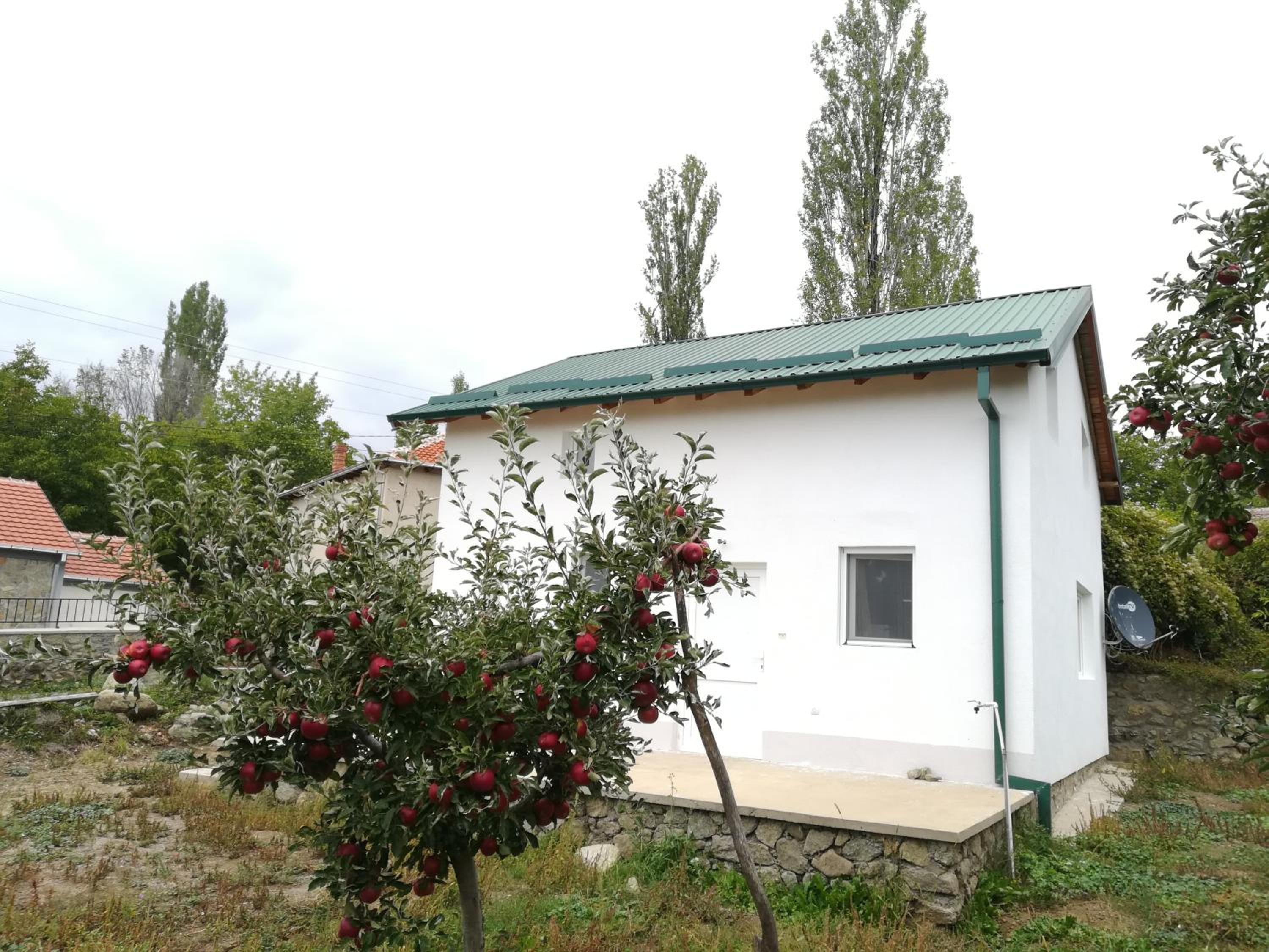 Photo 42
