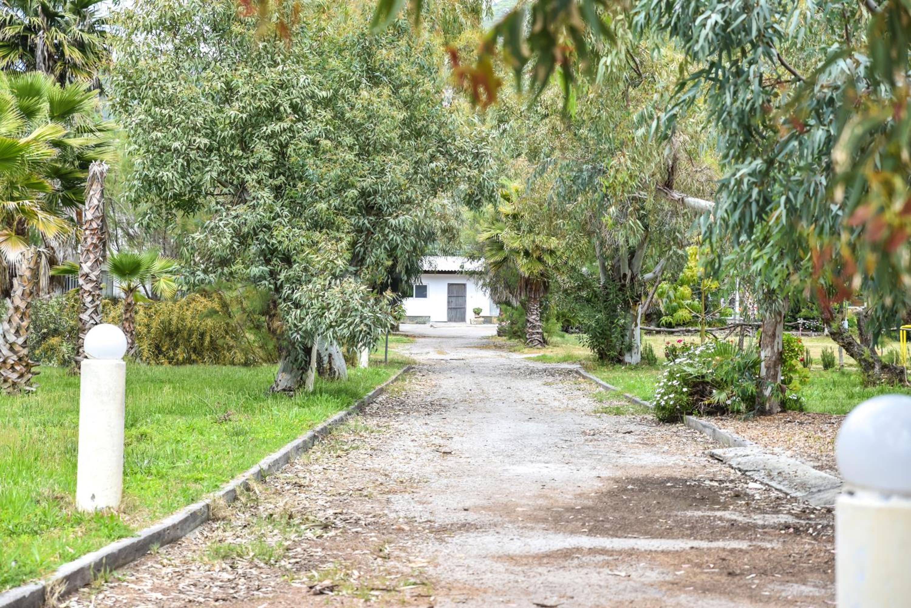 Barreira Beachfront Room 1