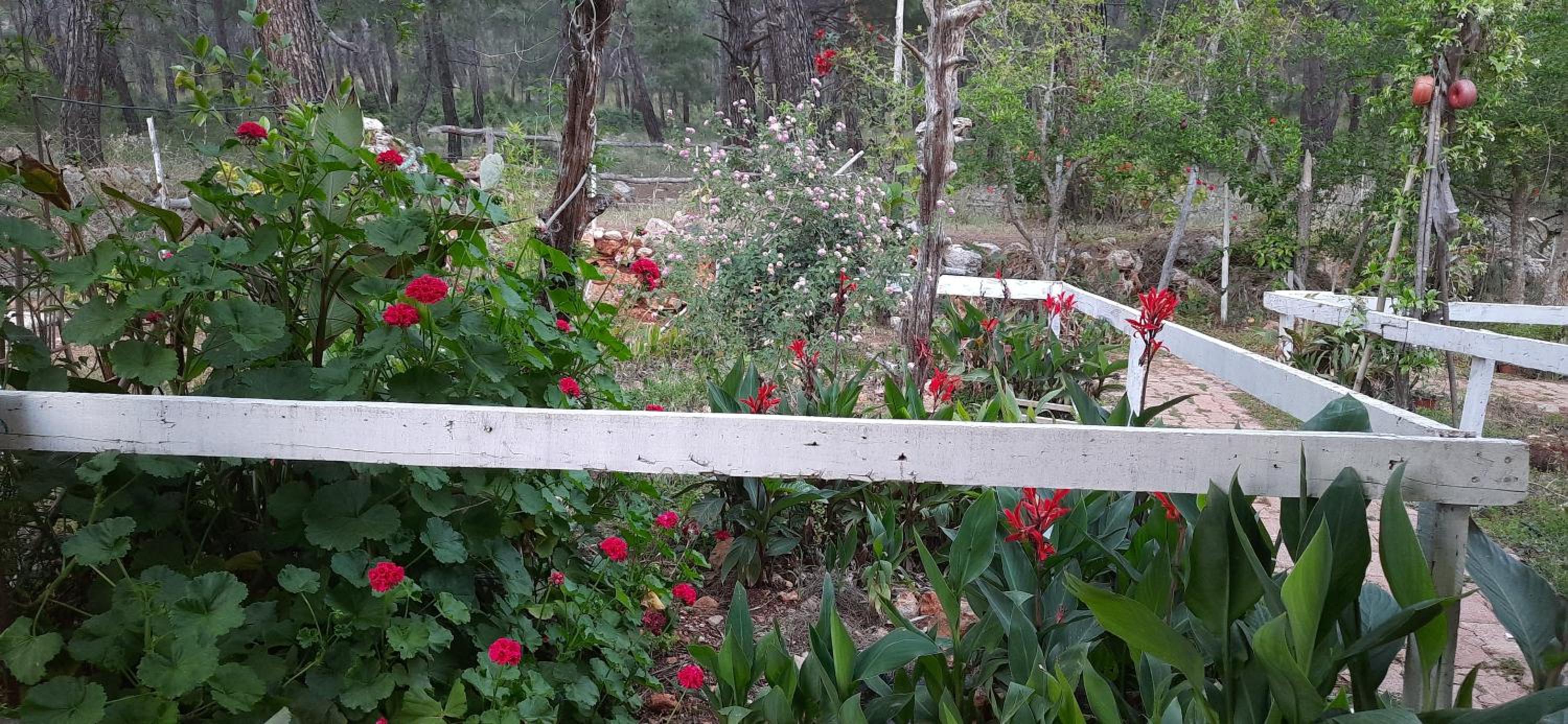 Gelidonia Holiday Home on the Lycian Way