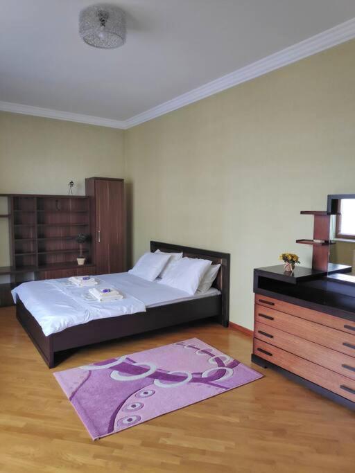 Spacious and modern apartment in the city