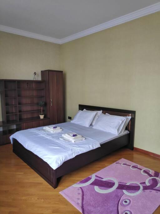 Spacious and modern apartment in the city