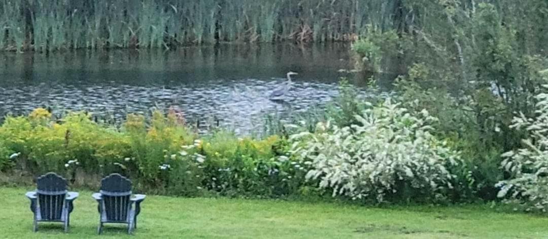 Clinton Pond Bed and Breakfast