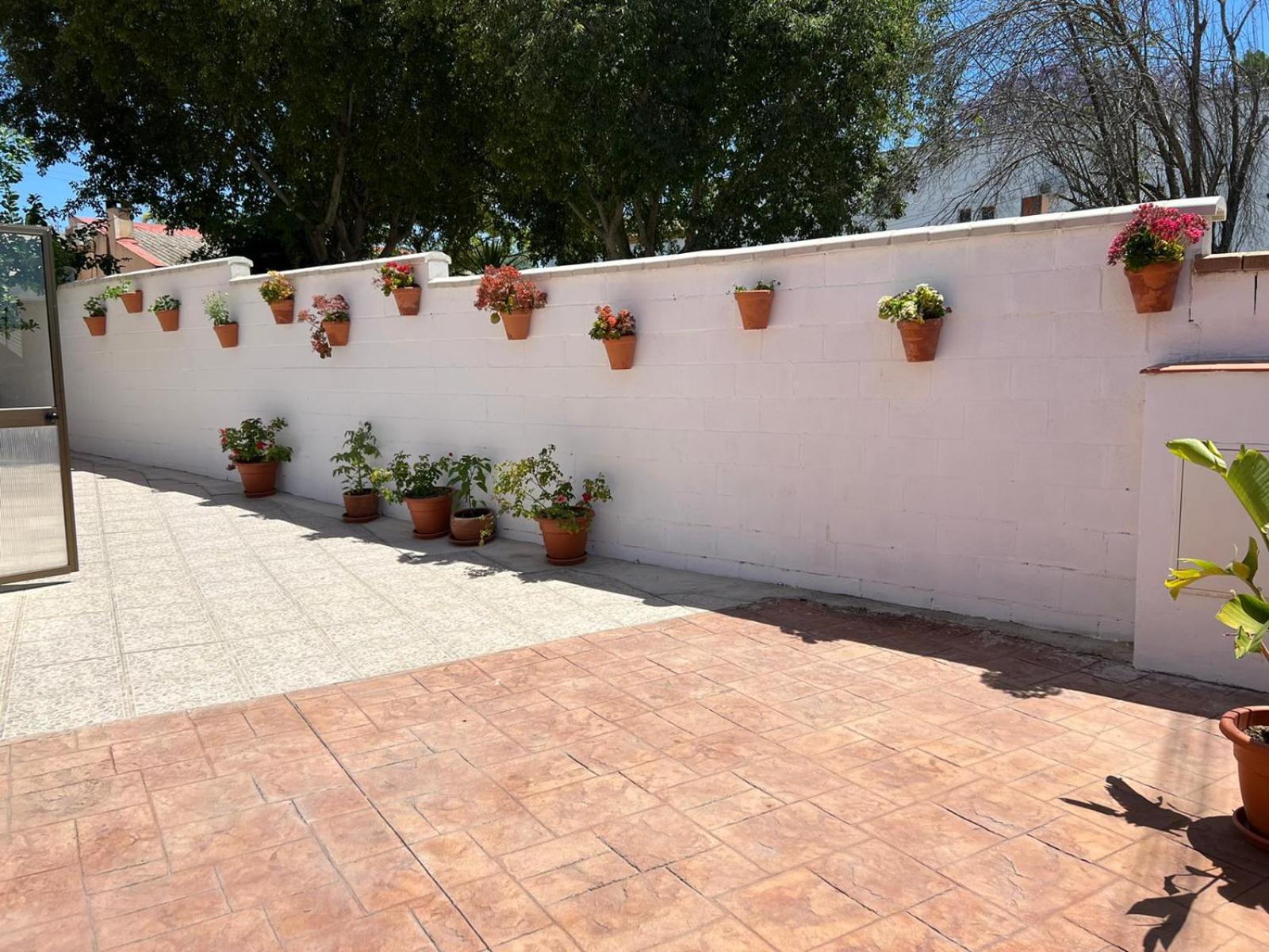 Casa Cortijo Olivar