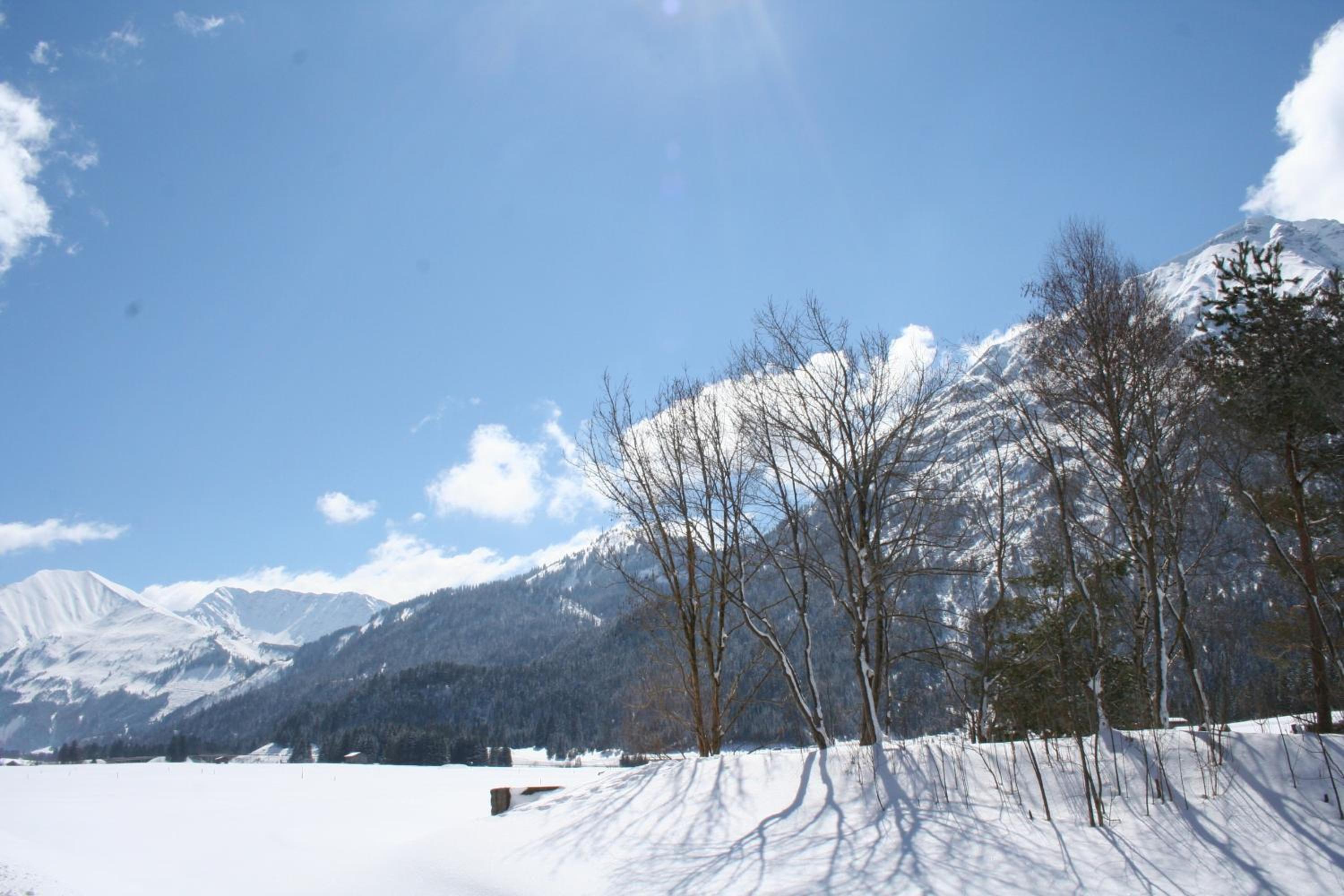 Photo 25