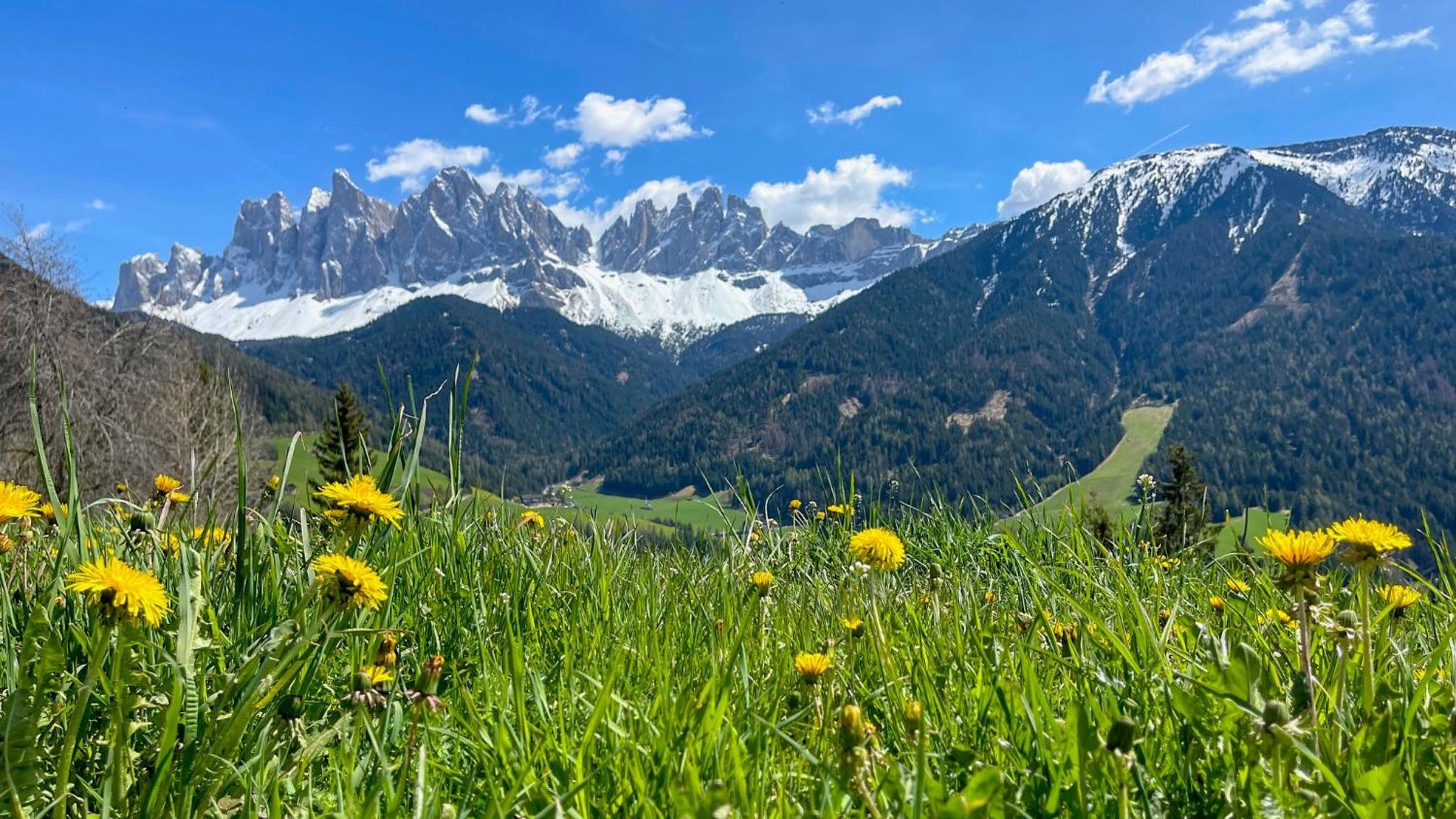Schopplhof - panoramic apartments dolomites