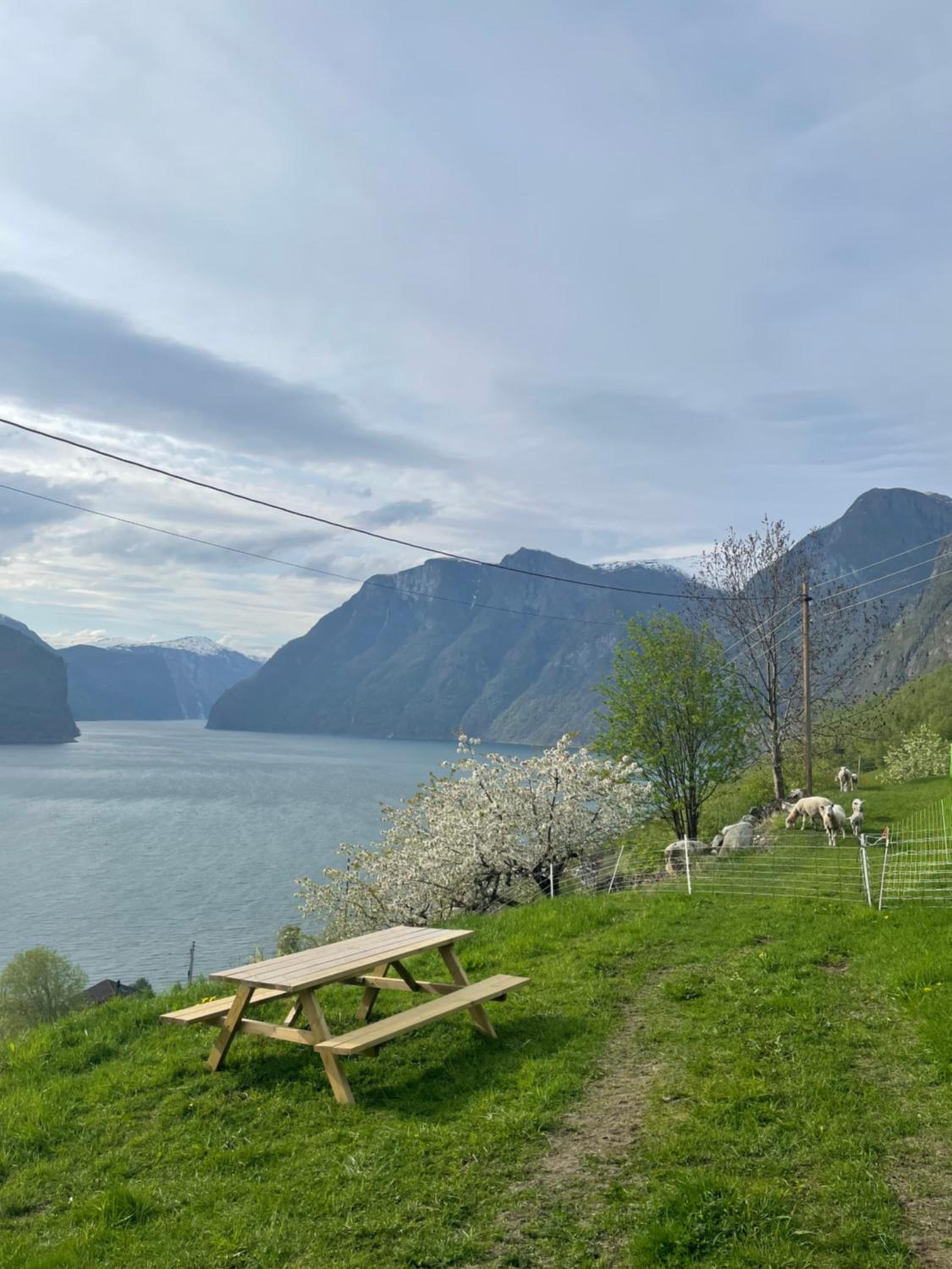Aurland Stegastein Apartment