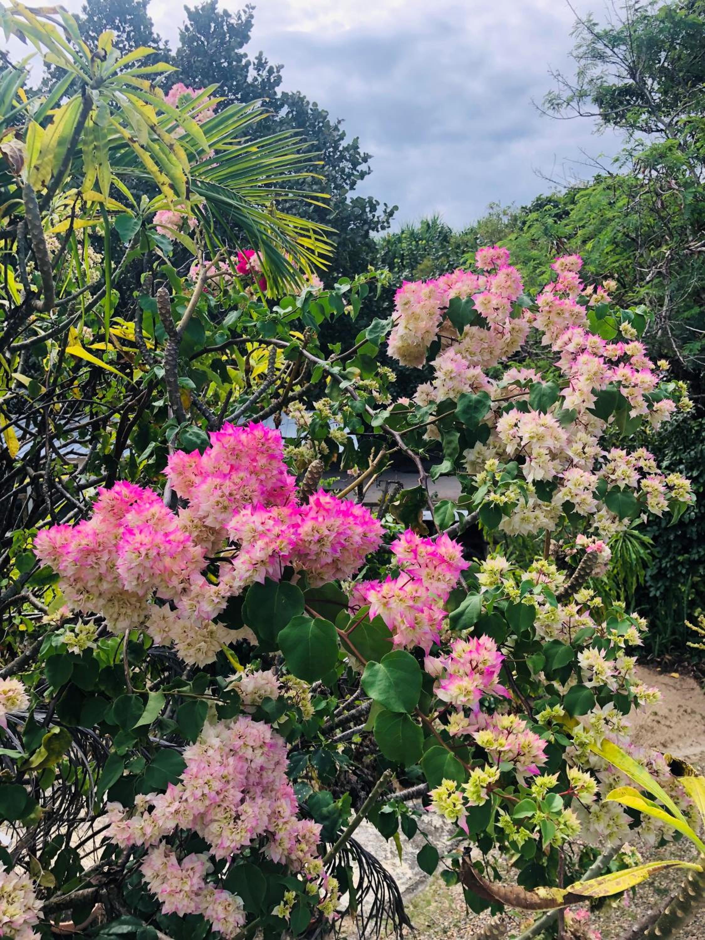 Coral Cove Inn