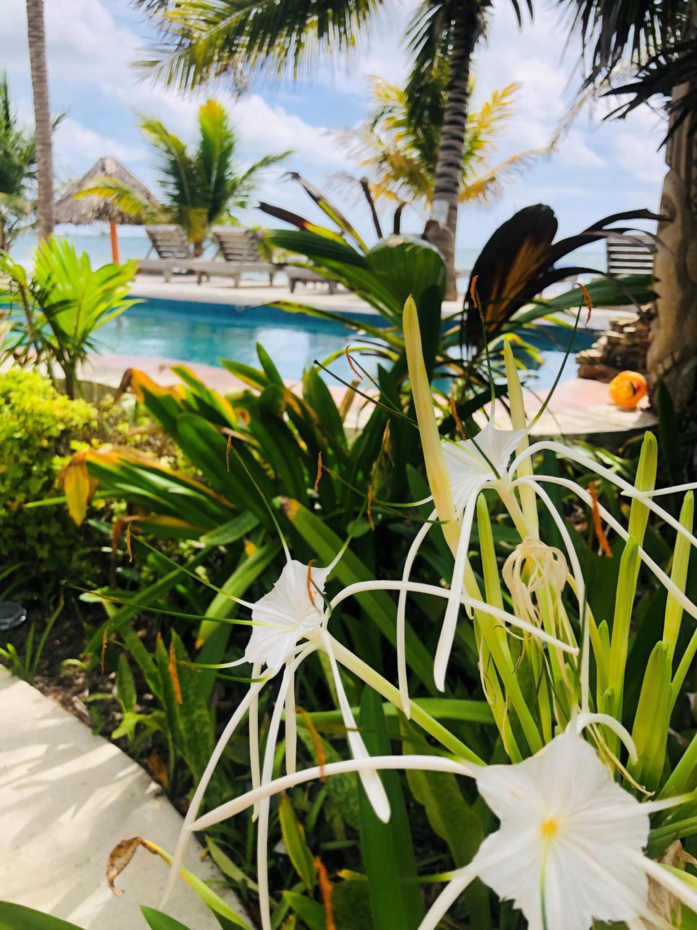 Coral Cove Inn