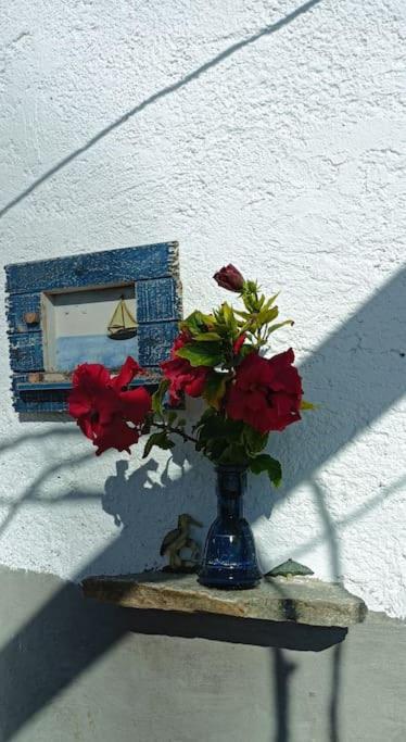 Smaragda home