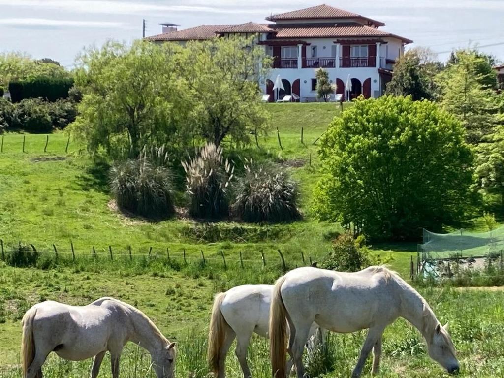 Villa ARGUIBEL, photo 24