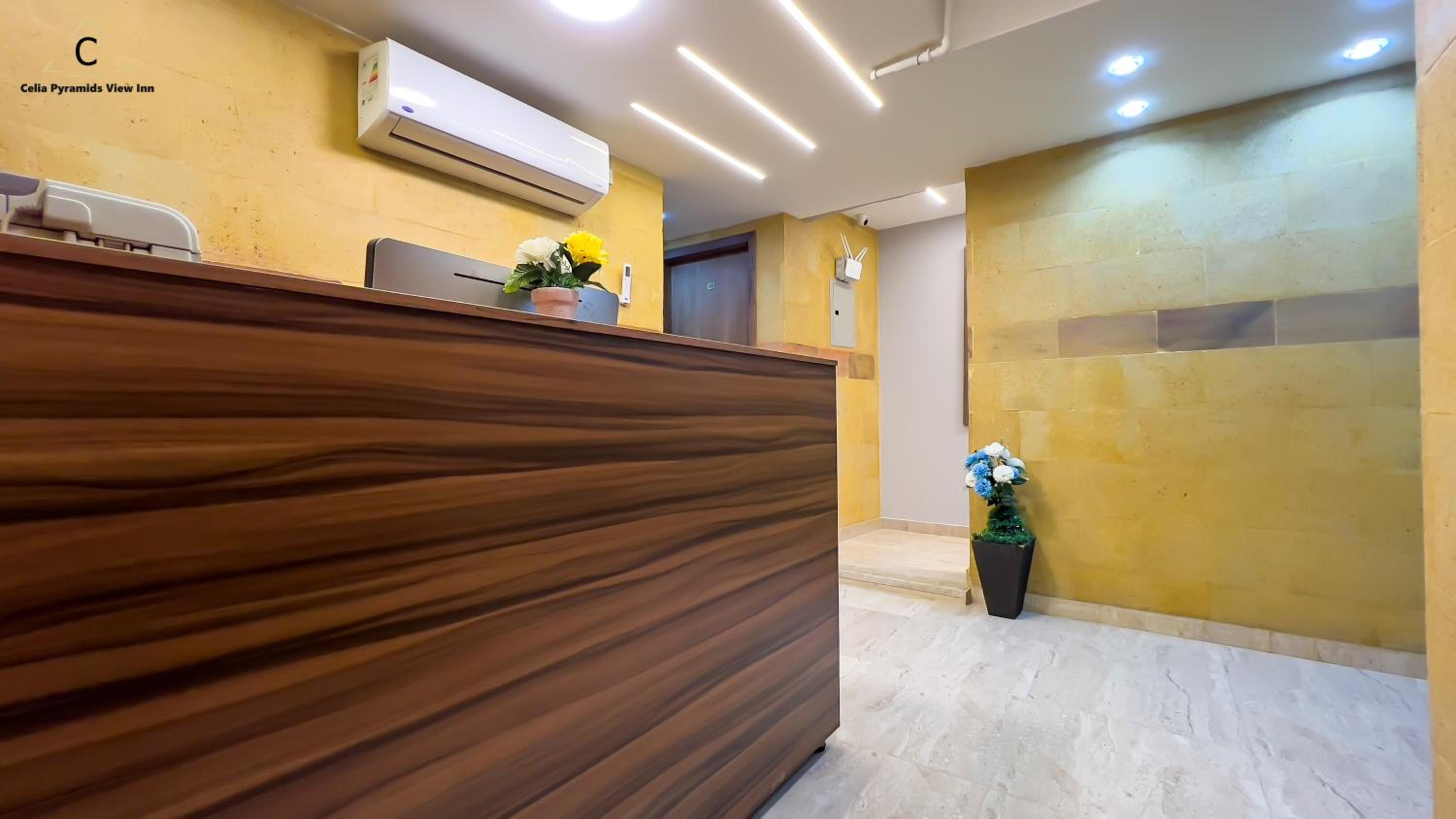 recepcion & lobby