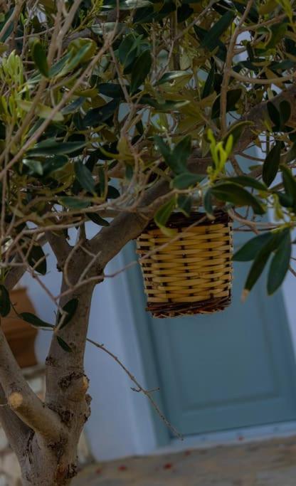 Martha's filoxenia photo 3