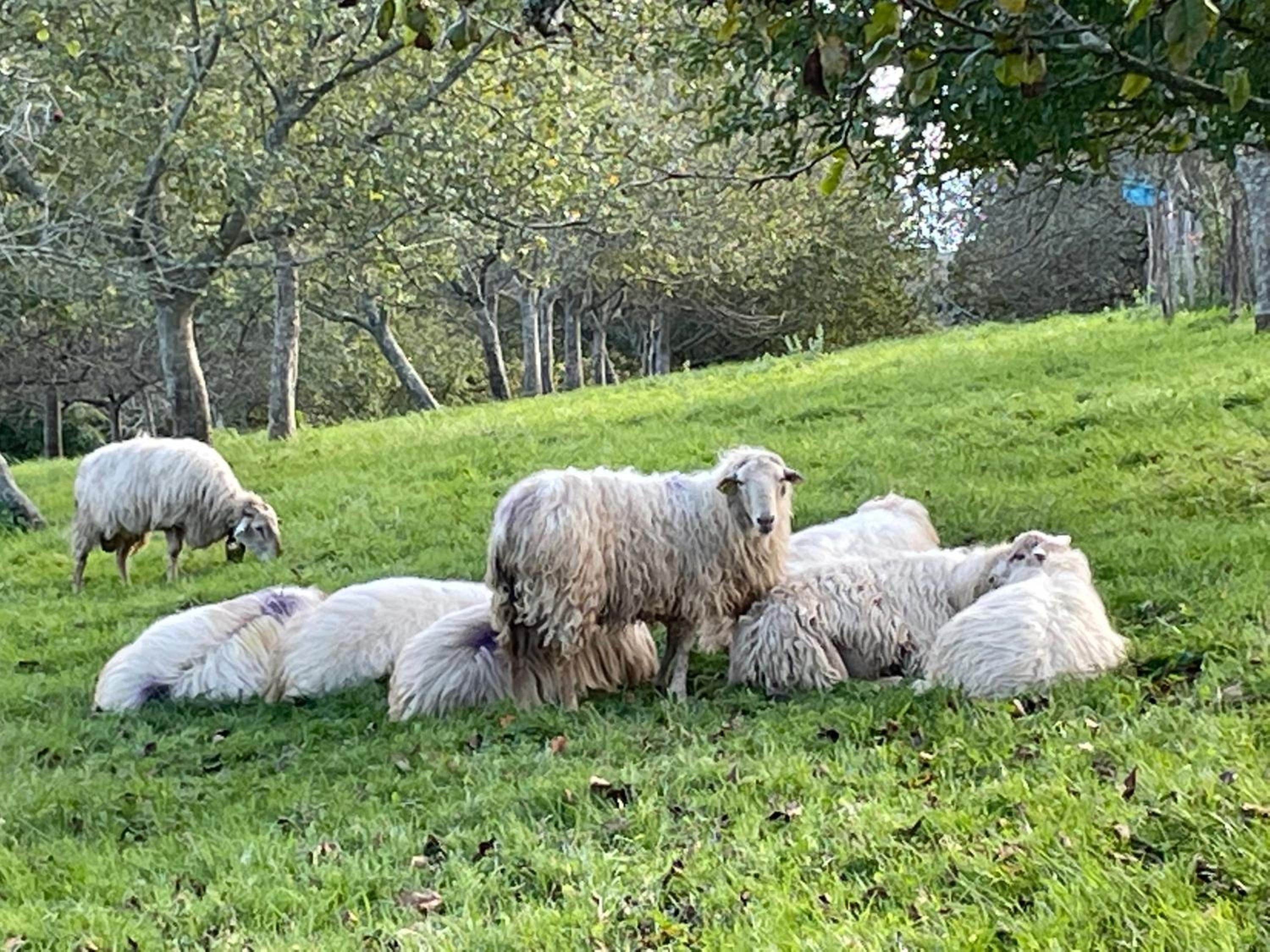 Villa ARGUIBEL, photo 4
