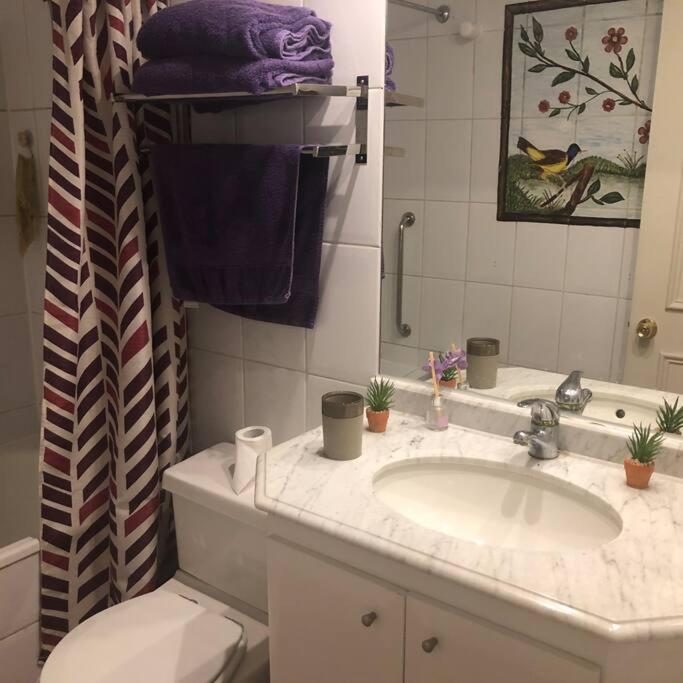 Apartamento Amoblado , en el corazón de Providencia, incluye estacionamiento