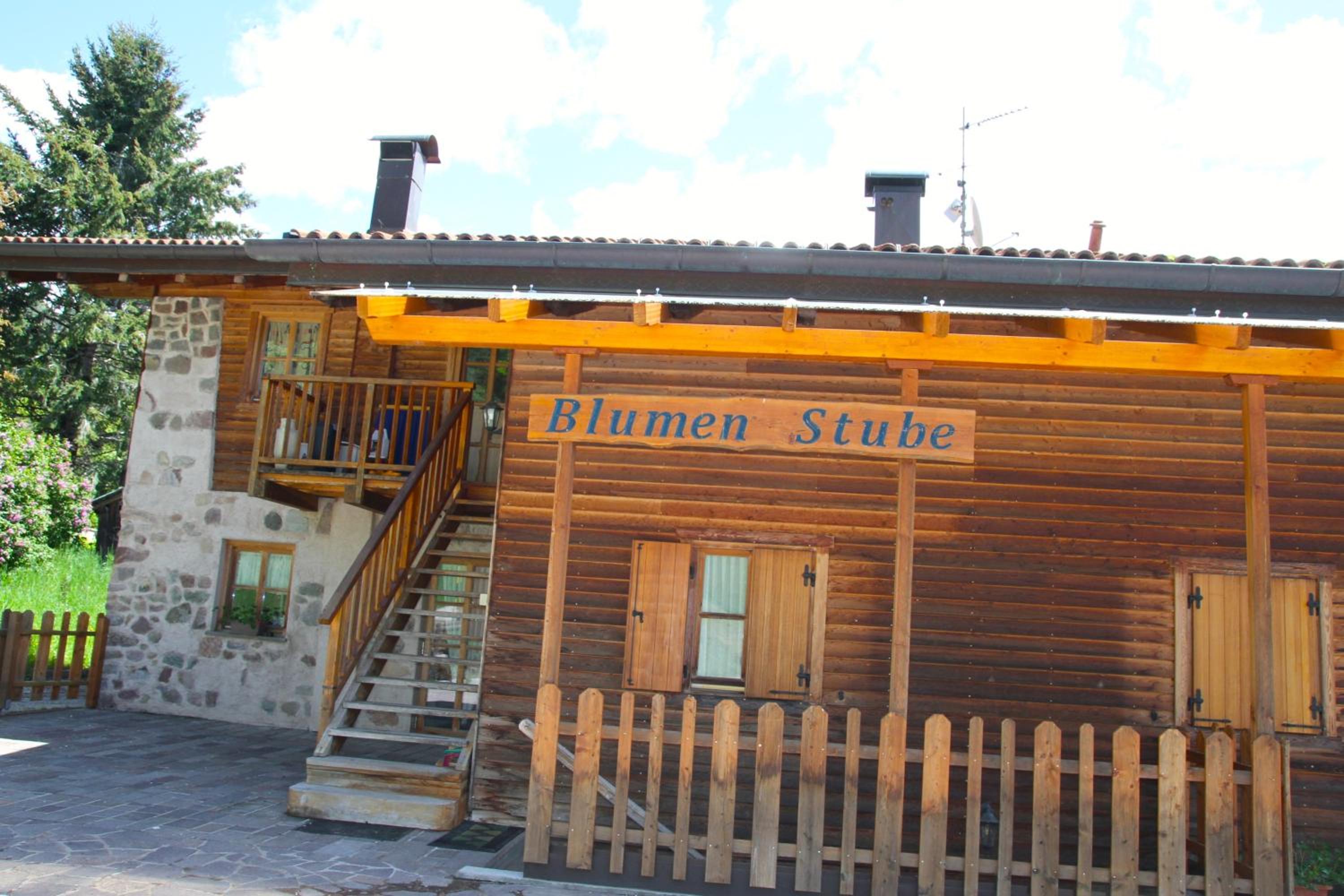 Chalet Dolomiti photo 1