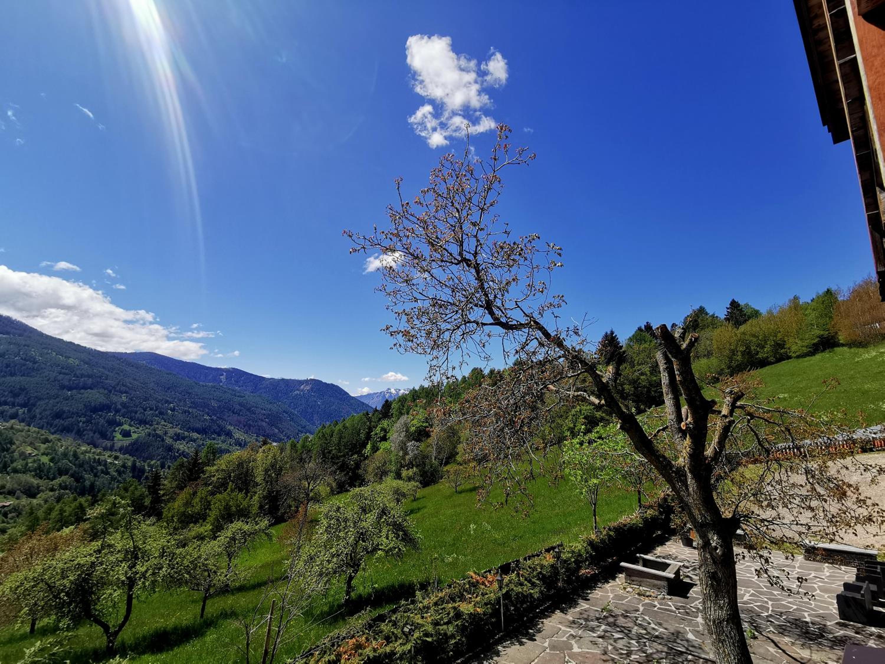 Chalet Dolomiti photo 4