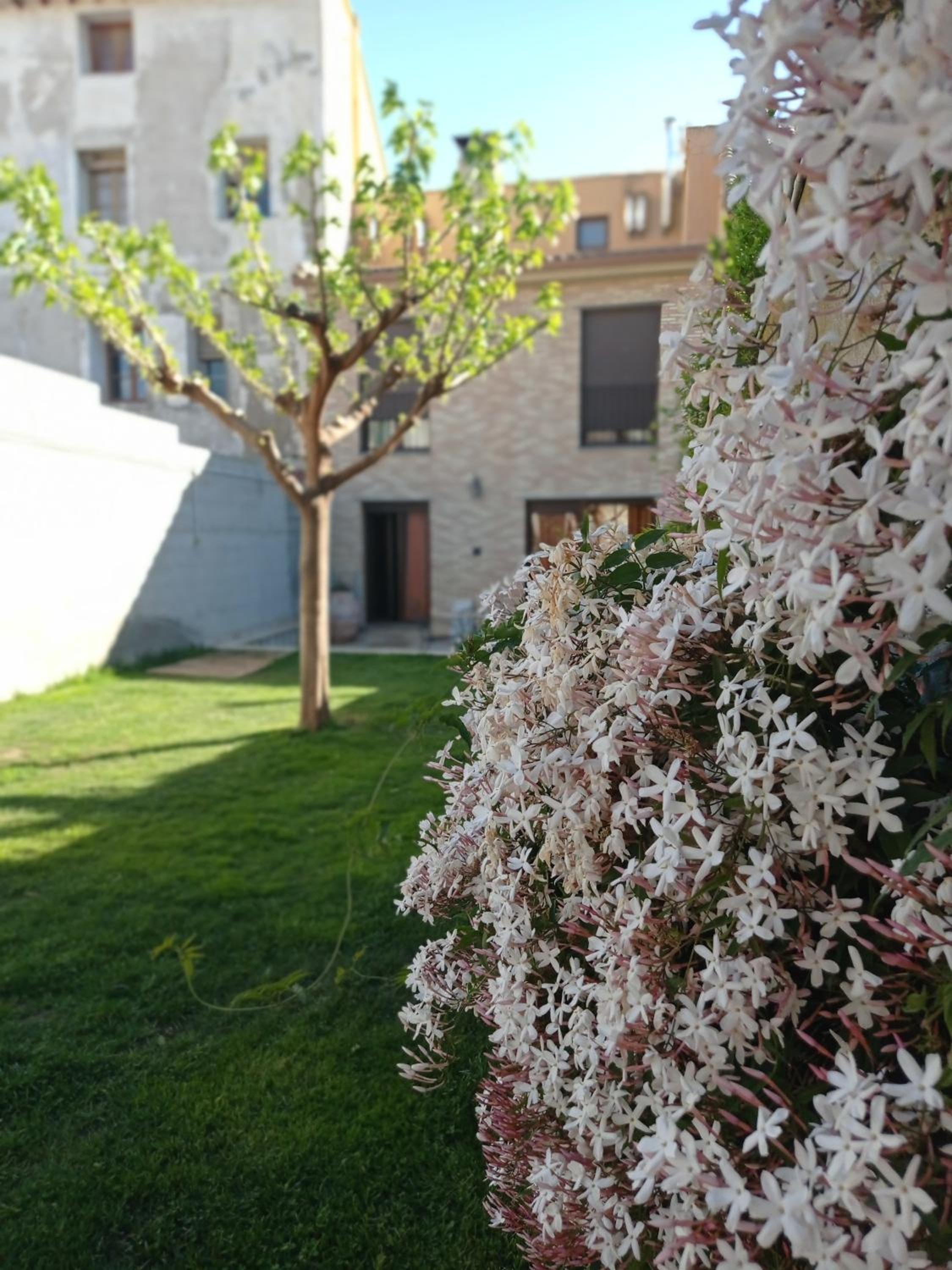 Photo 45