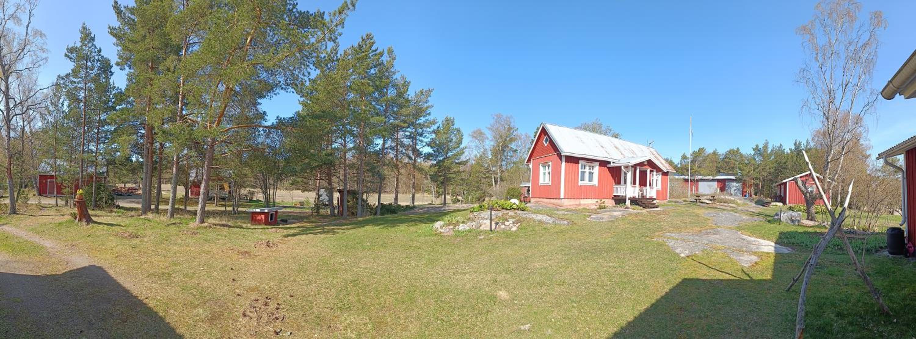 Photo 6