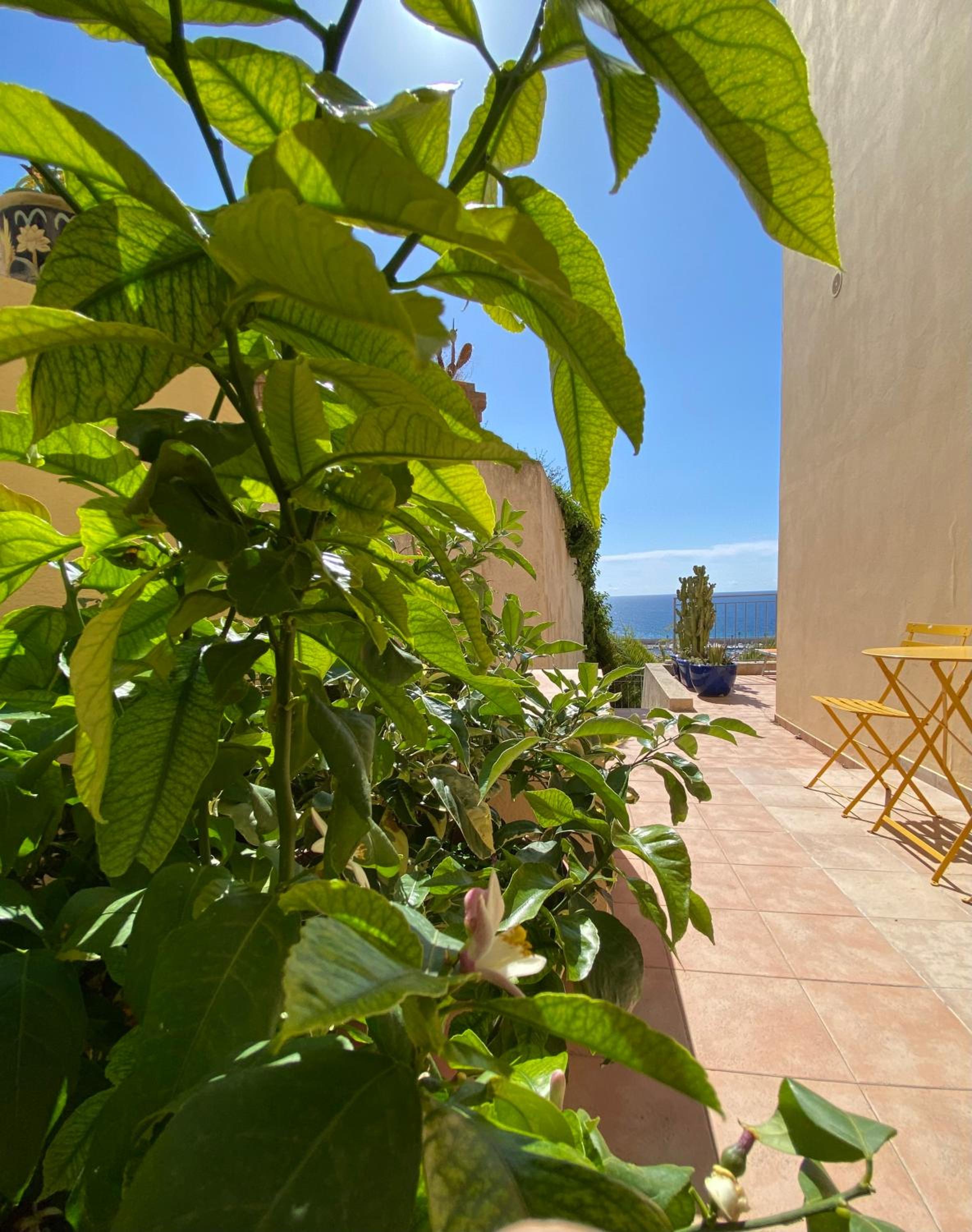 Villa l'ensoleillée vue panoramique mer, 250 m de la plage et du centre ville, photo 74