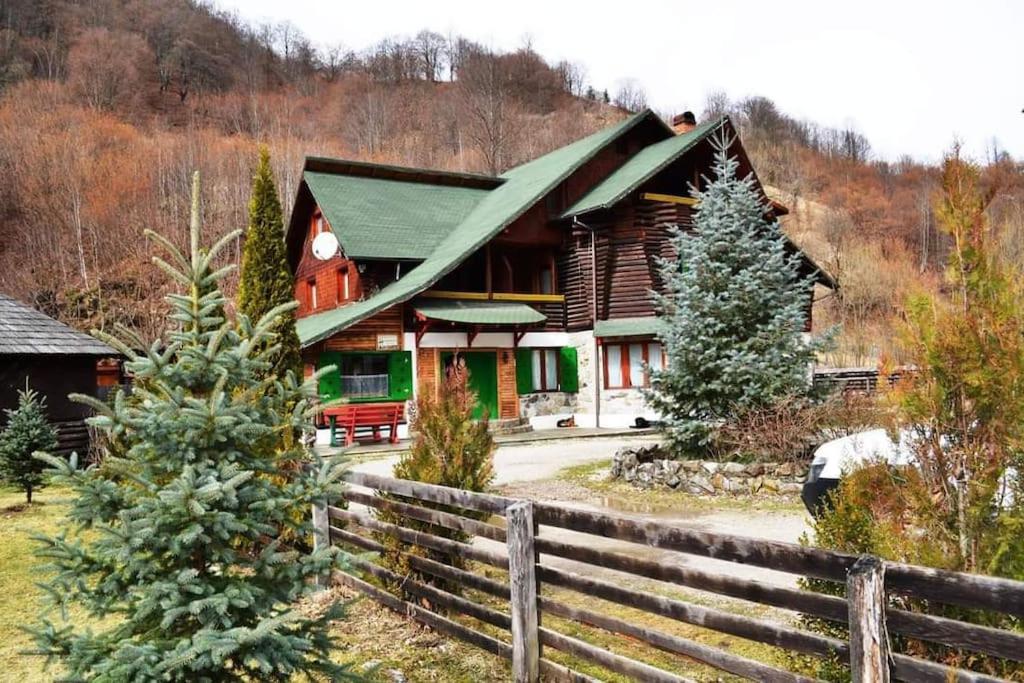 Cabană Piatra Lotrului, Voineasa view 2
