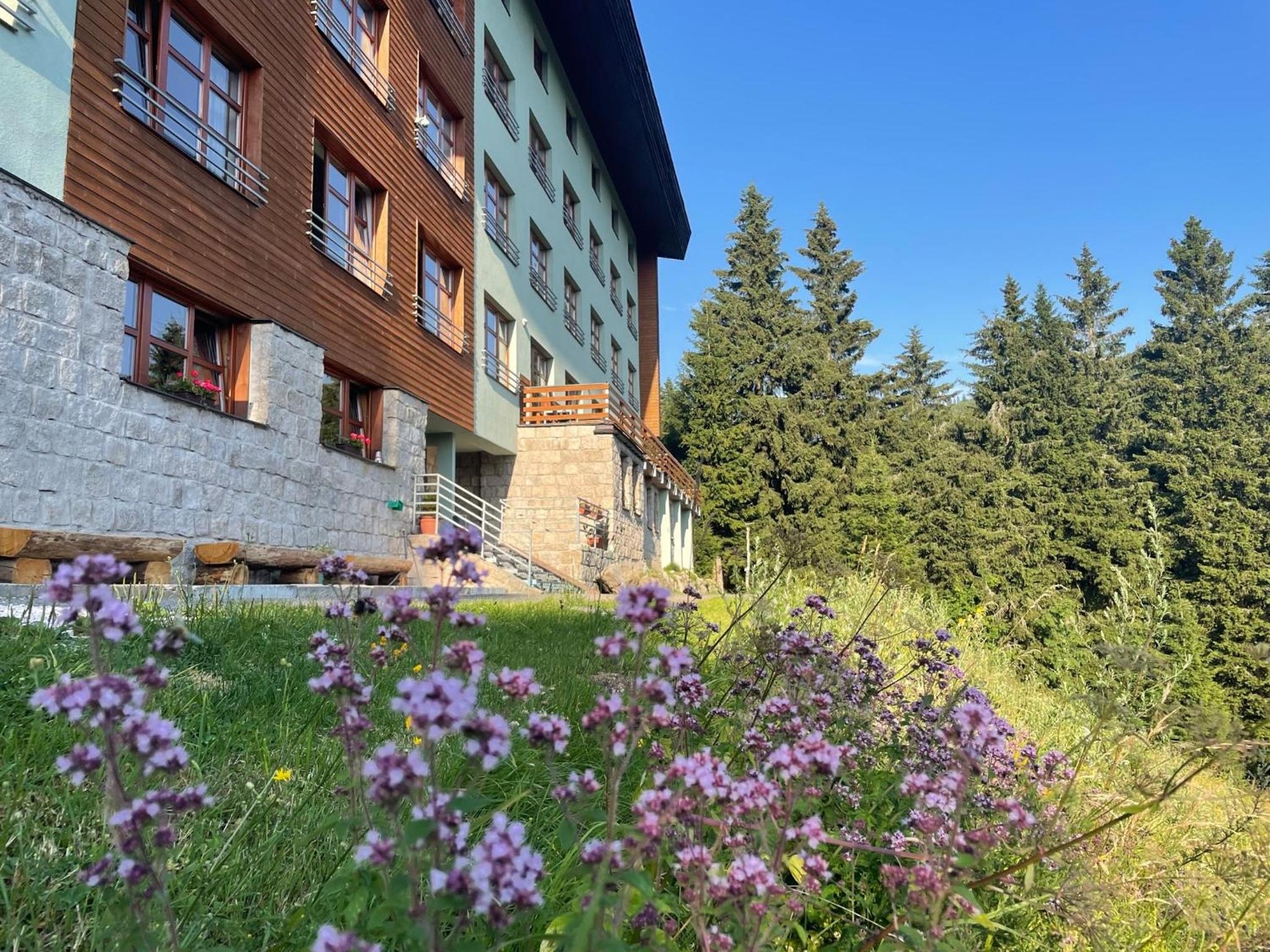 Apartman 105 Pec pod Sněžkou