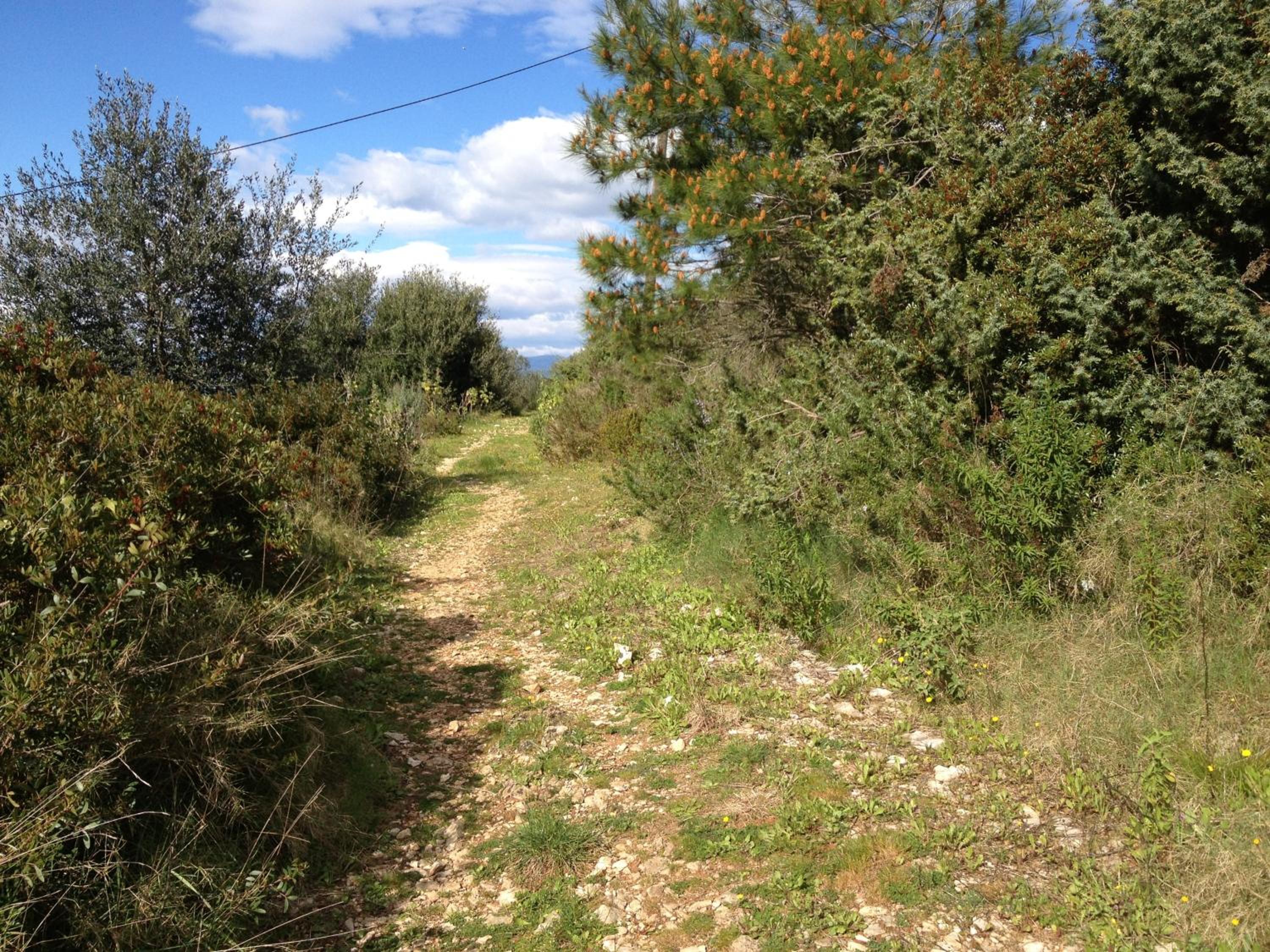 Photo 61