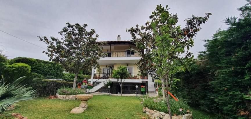 TSAGGA HOUSE